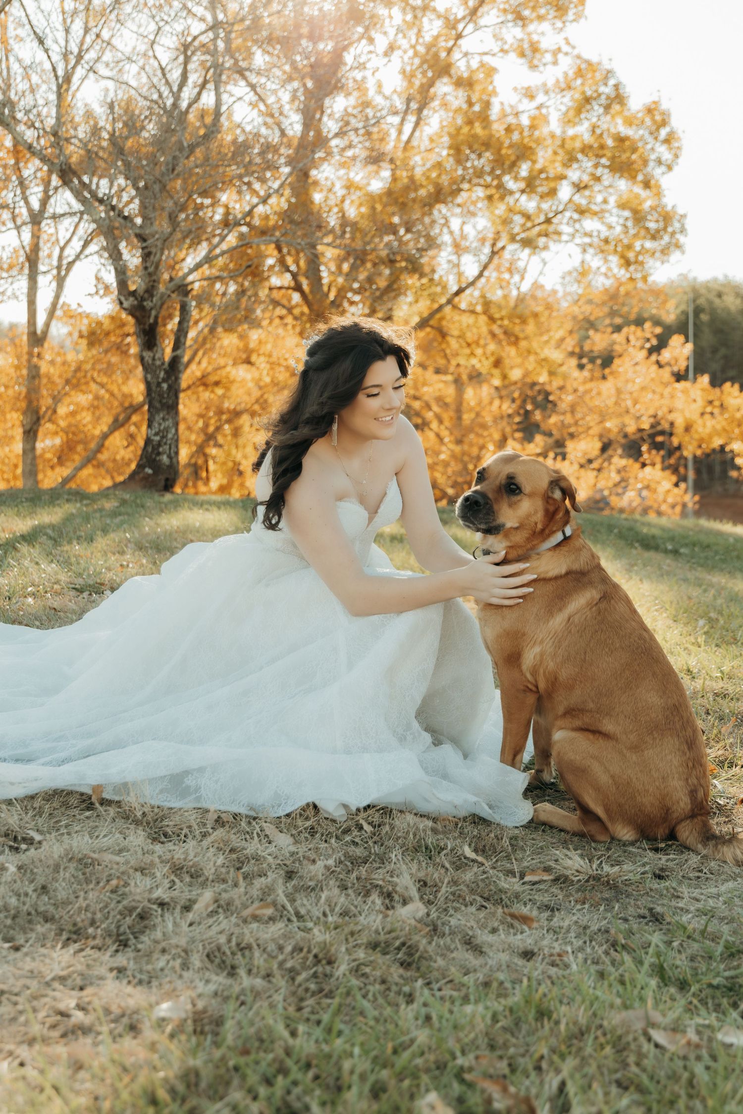 A bride in a white wedding dress sits on grass with her brown dog during golden hour in an autumn setting.