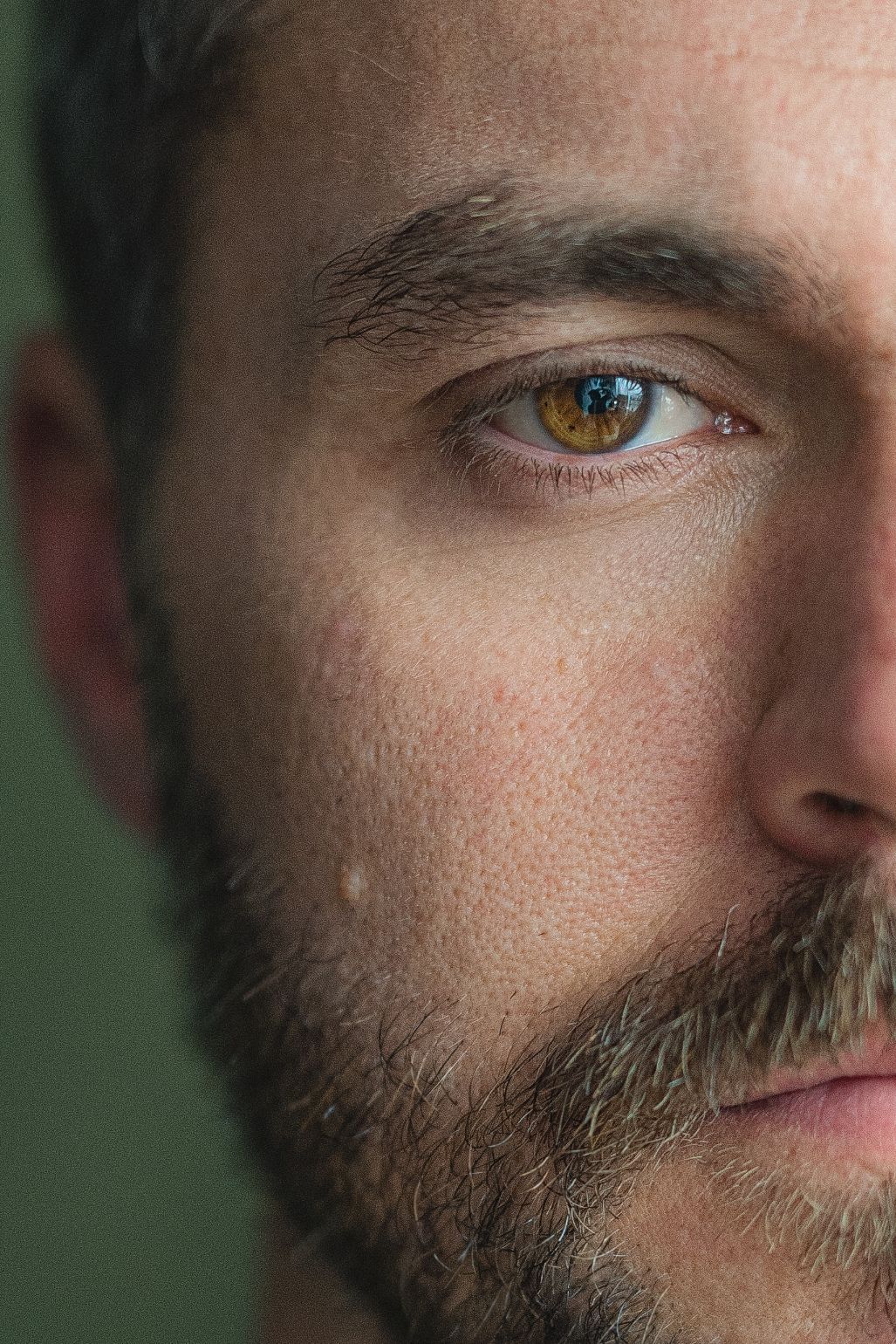 A close-up macro shot of brown facial hair and hazel eyes against a green background.