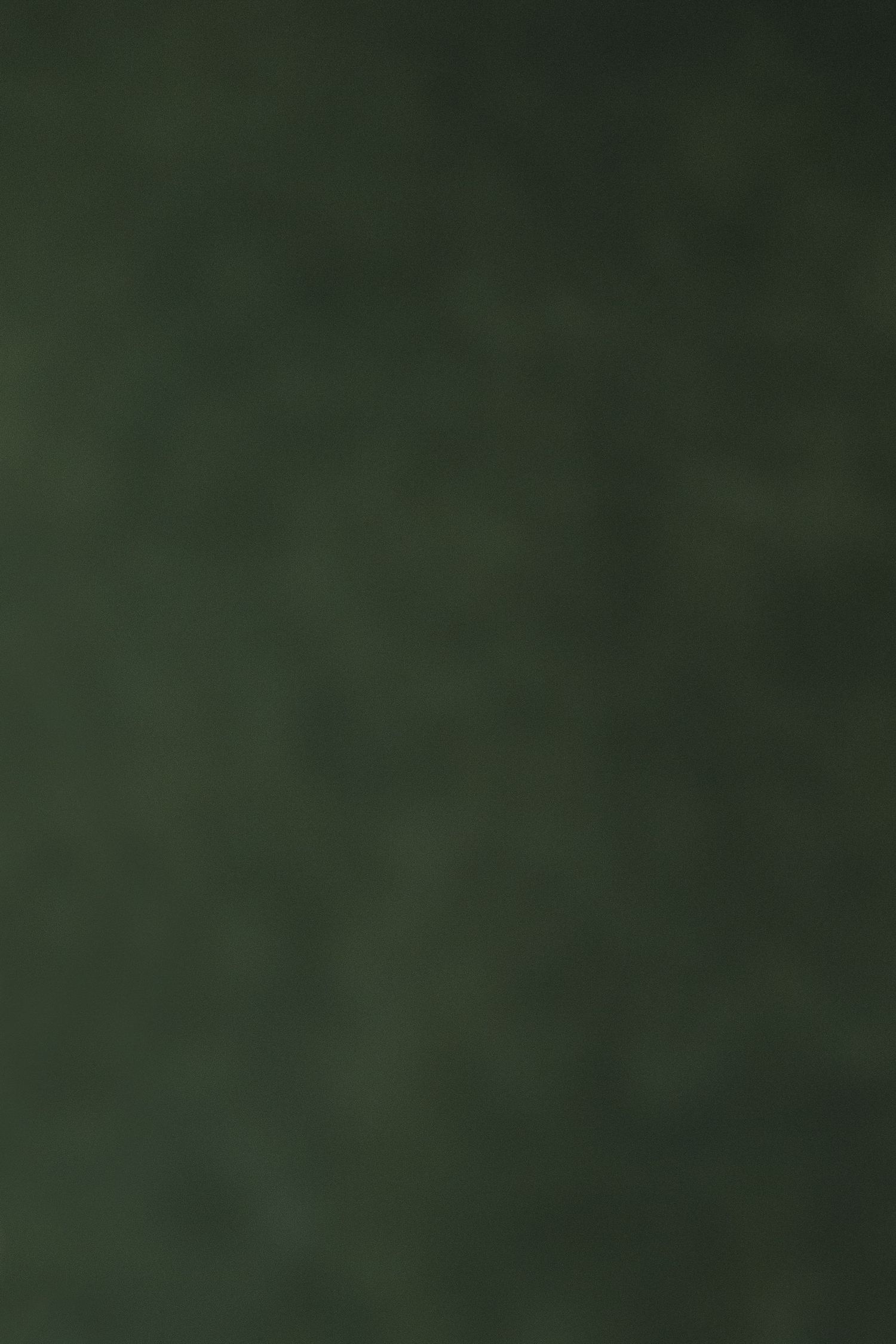 Dark green blurred textured background with soft bokeh effect.