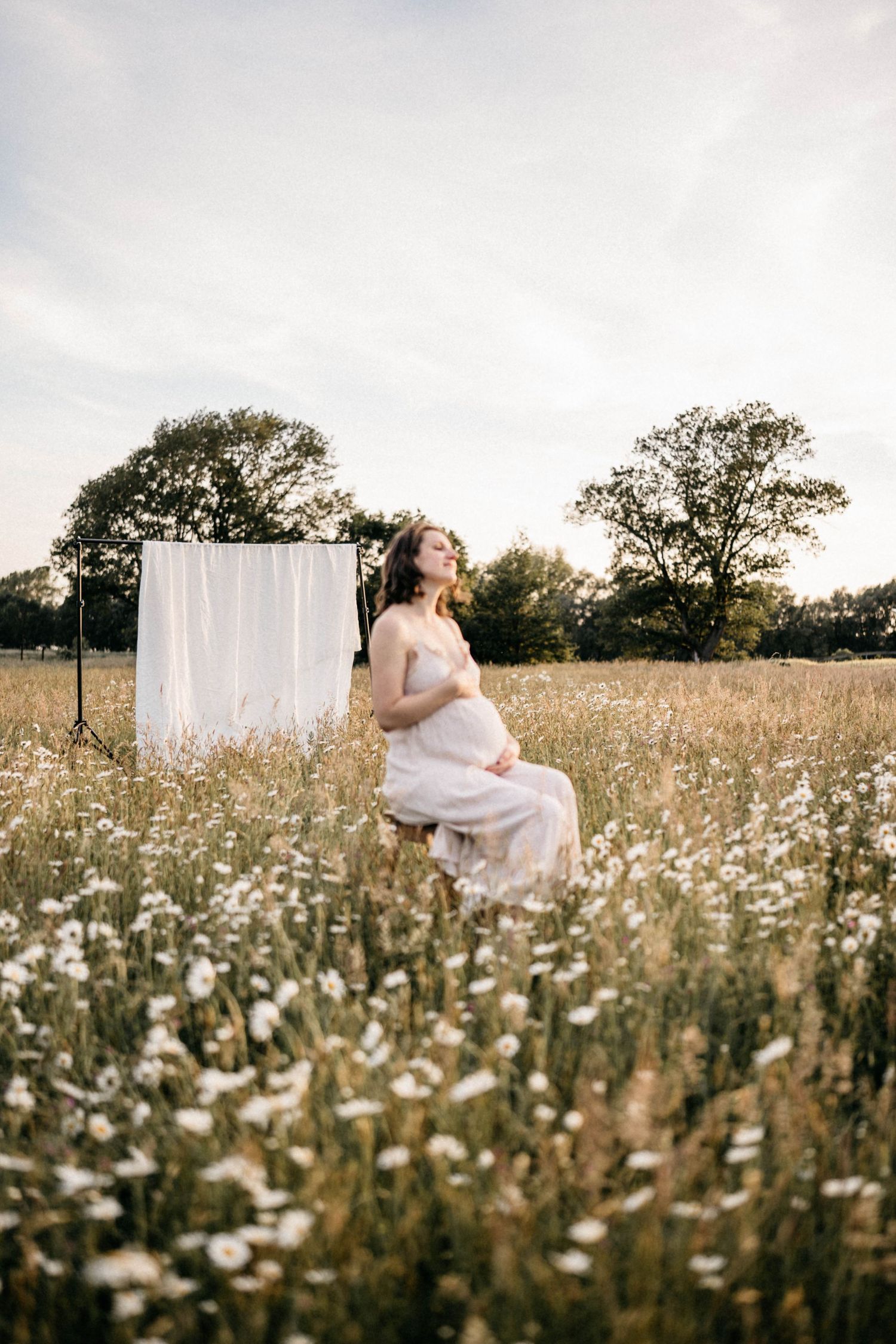 Dreamy maternity portrait with white backdrop in meadow of blooming wildflowers at dusk.