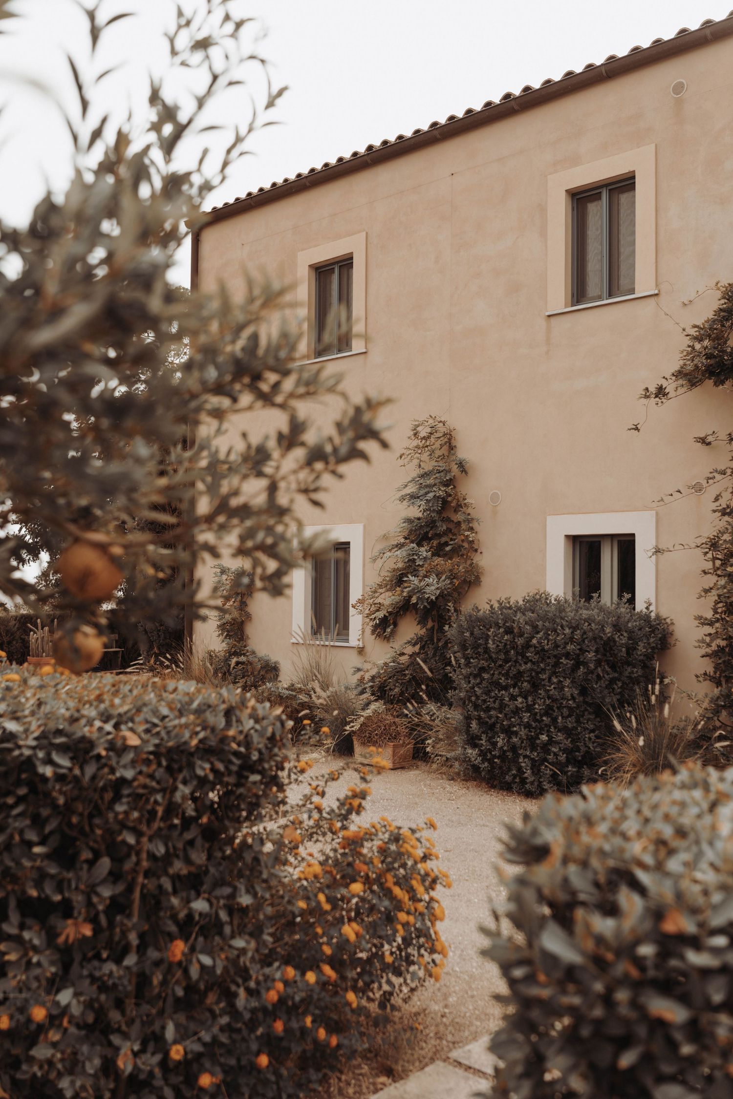 Mediterranean style stucco house with windows framed by lush garden shrubs and climbing vines in warm earth tones.