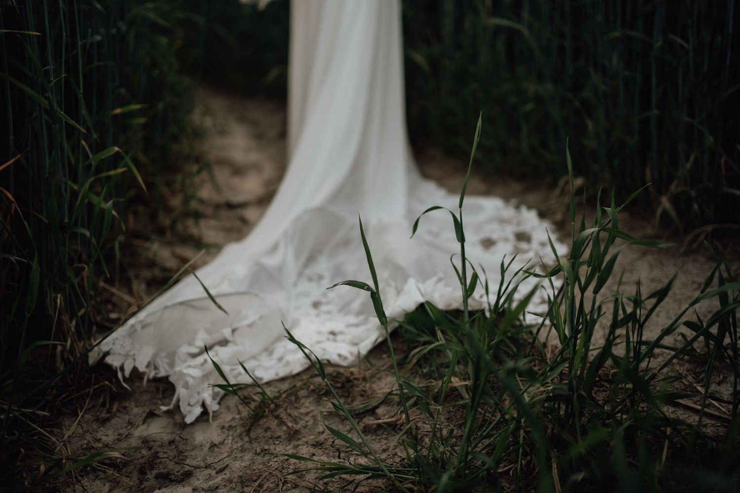 White fabric from a dress trails along a dirt path with green grass growing beside it.