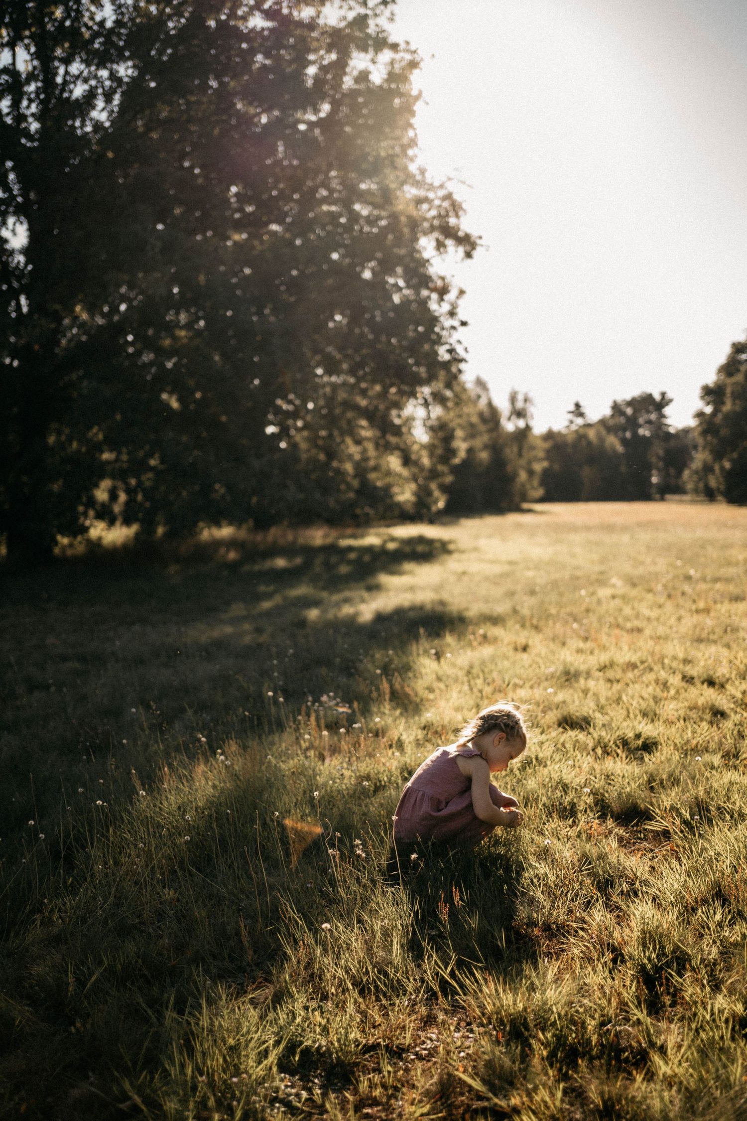Child sitting in golden sunlit meadow during sunset with trees in background.