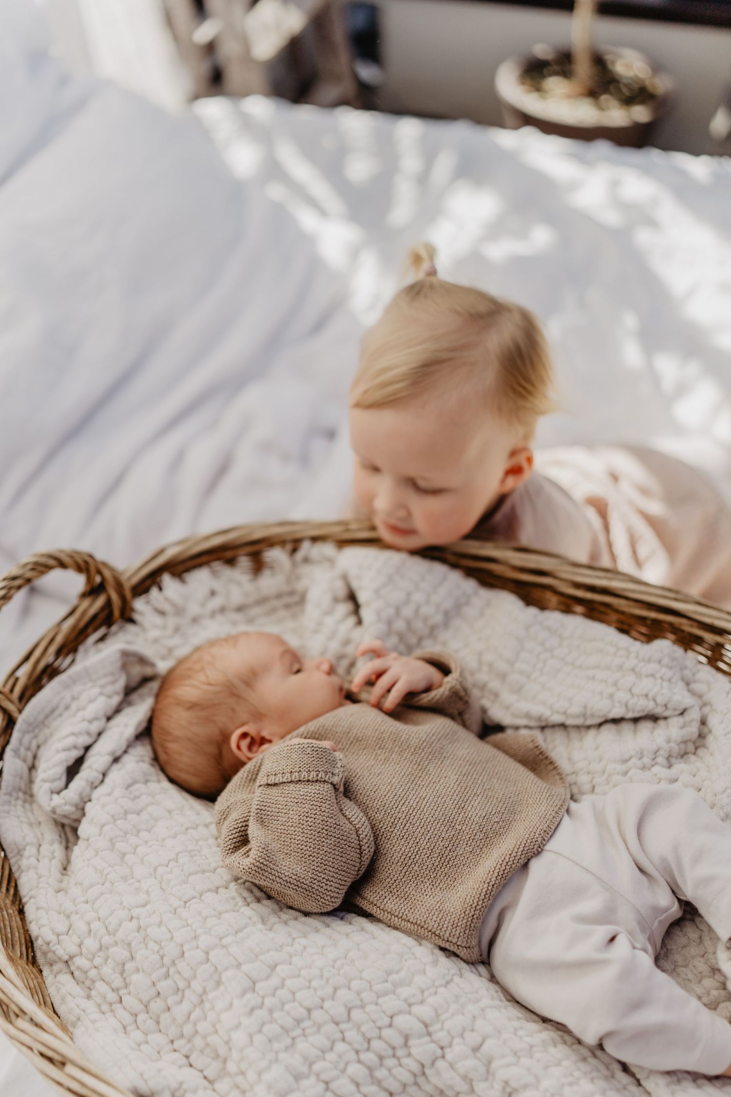 Child looking down at baby sibling lying in woven basket on white bedding while bathed in natural light.