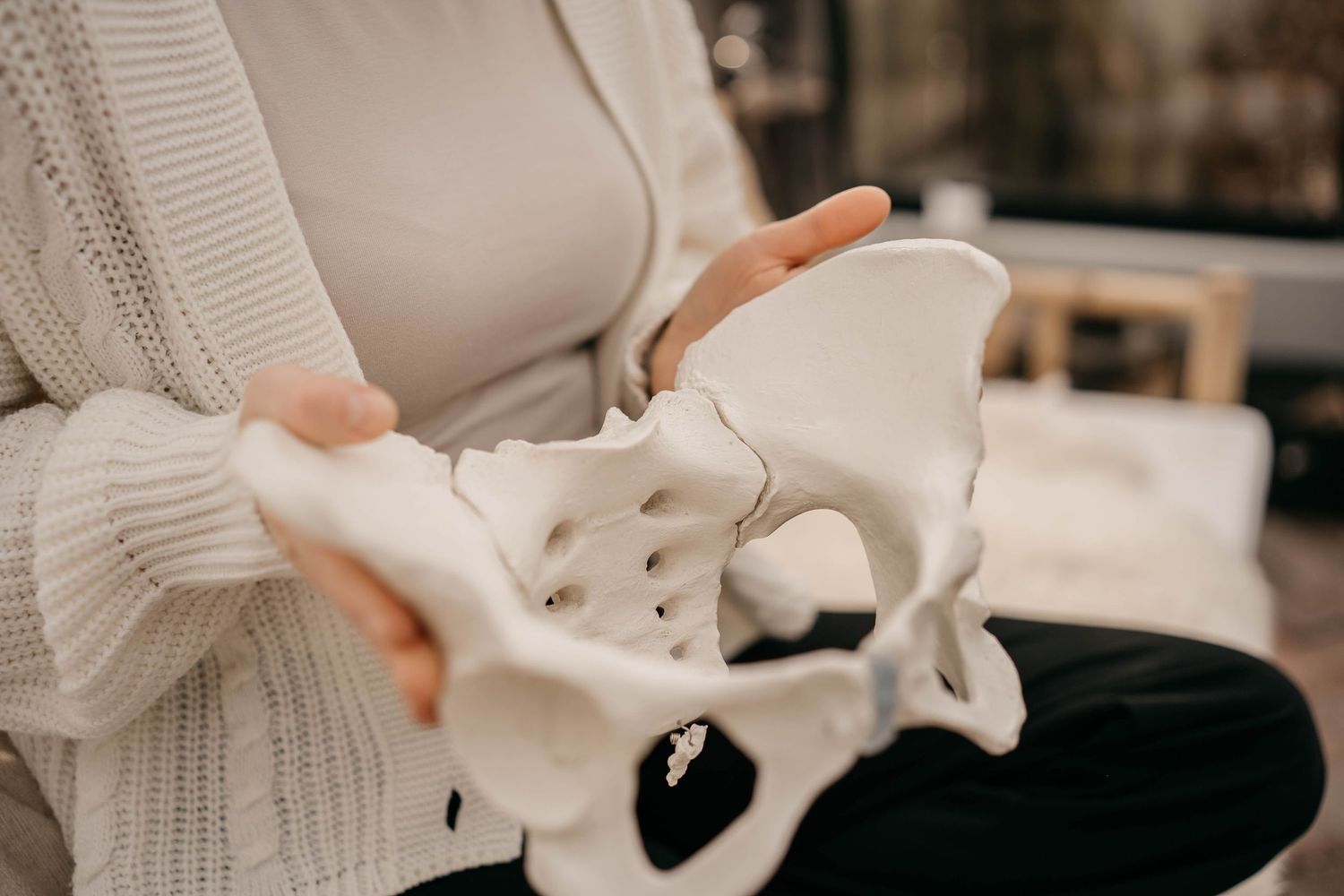 A close up view of a 3D model of a human pelvis bone being held in someone's hands wearing a cream sweater.