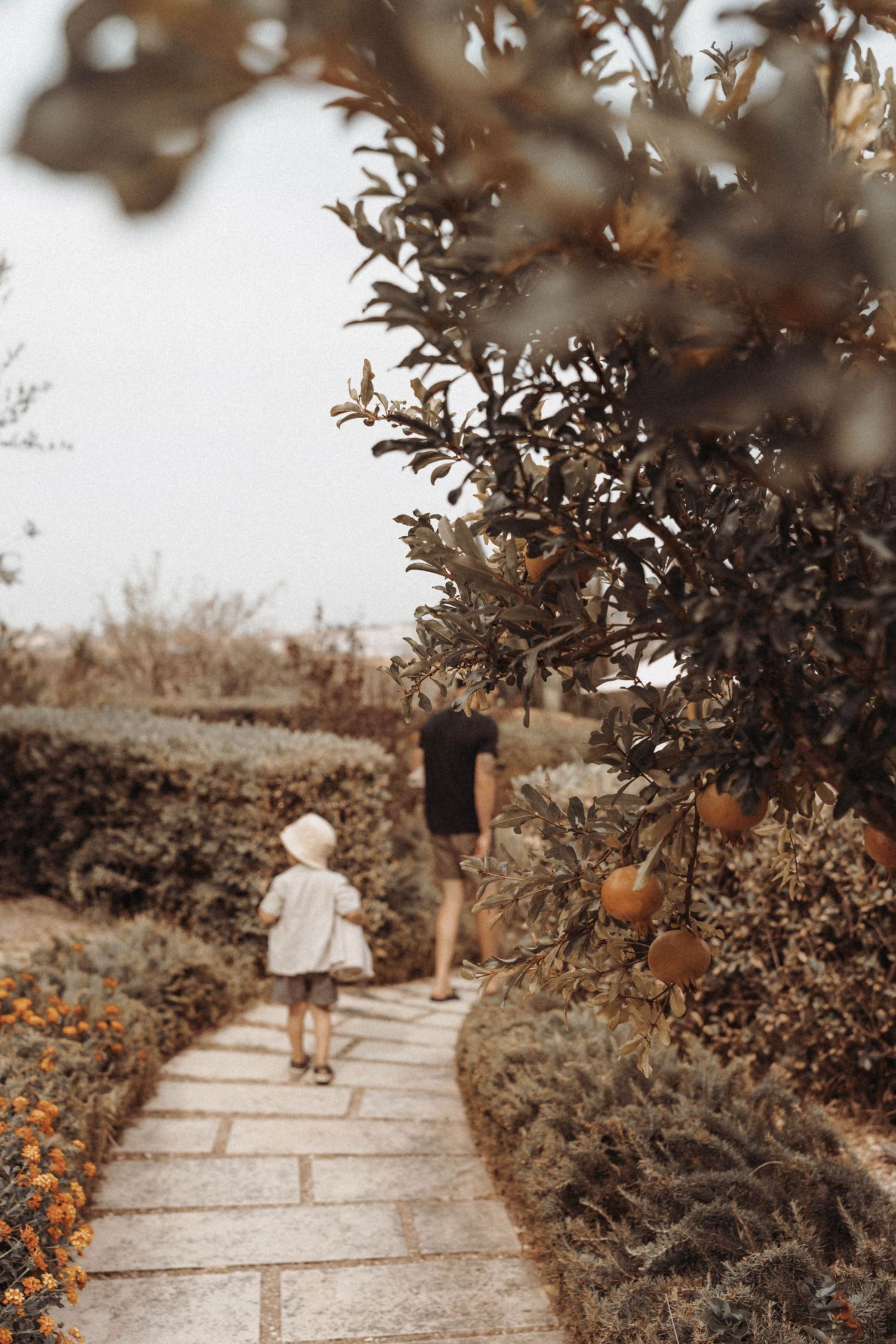 Stone pathway through a garden with figures walking under tall trees and orange flowers in a moody sepia-toned image.