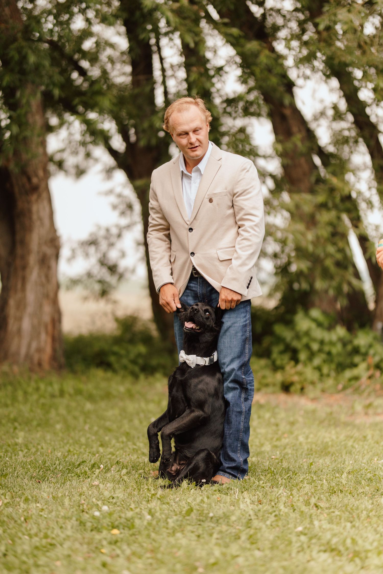 Middle-aged man in beige blazer and jeans training a black Labrador dog on green grass in a park.