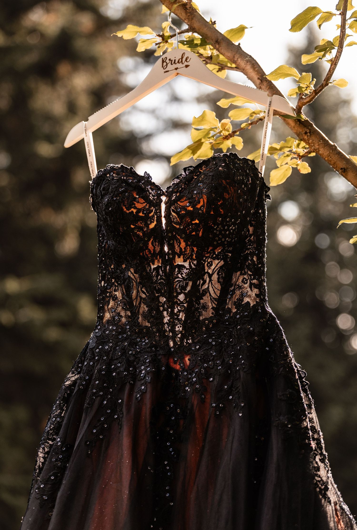 Black lace beaded bridal gown hanging on a Bride hanger from a tree branch outdoors.