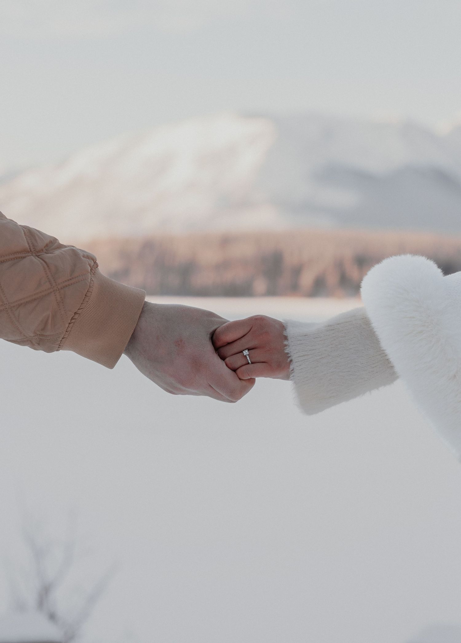 Two people holding hands in a snowy winter landscape, one wearing an engagement ring, with mountains in the background.