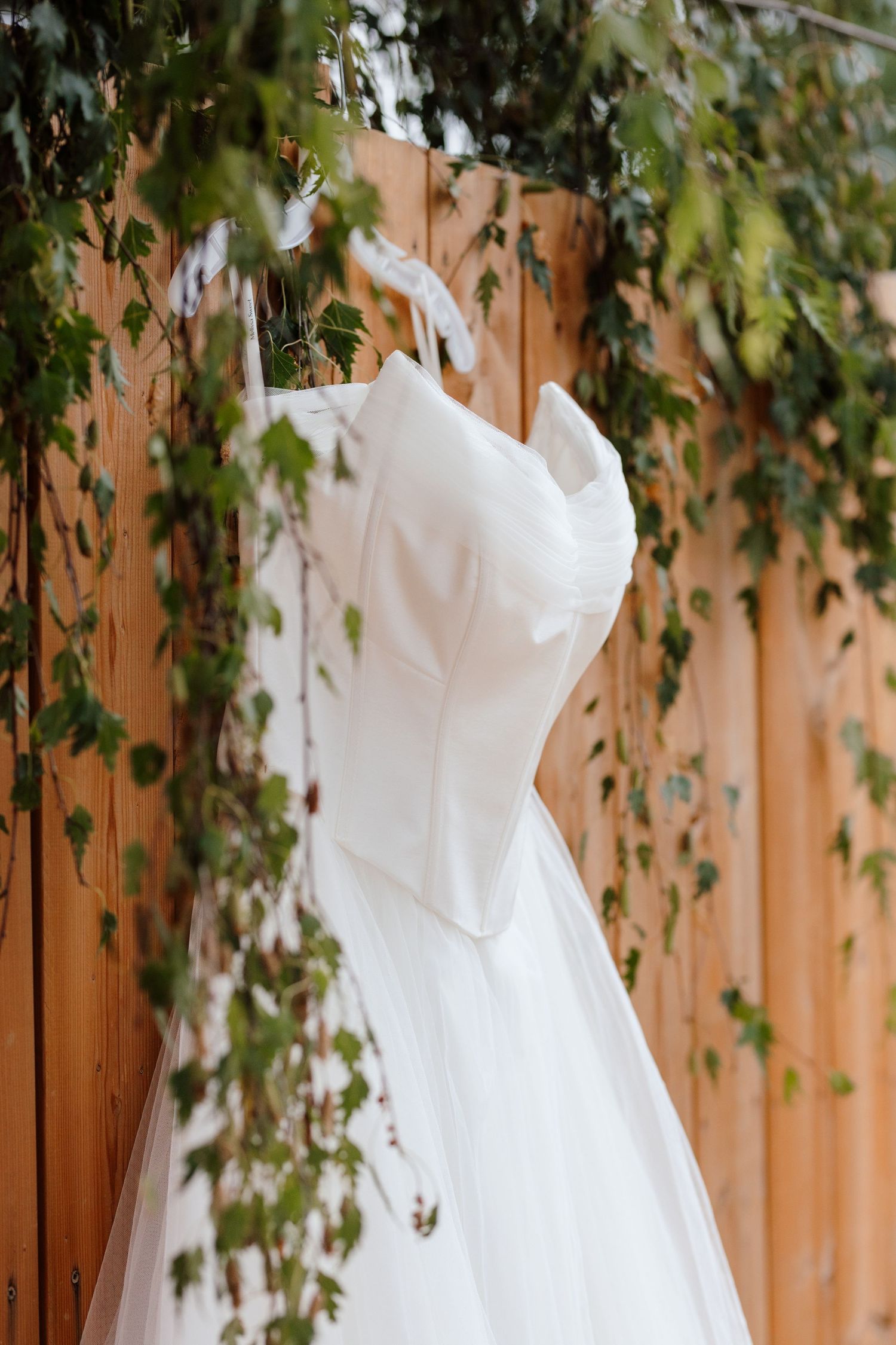 White wedding dress hanging on wooden fence surrounded by green ivy leaves.