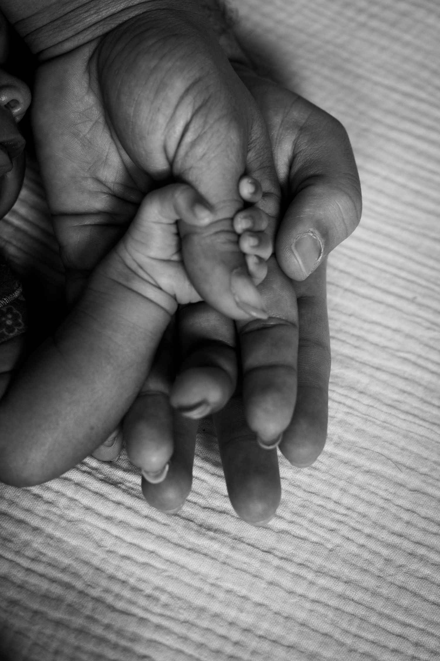 Black and white close-up of a tiny baby hand held in adult hands against textured fabric.