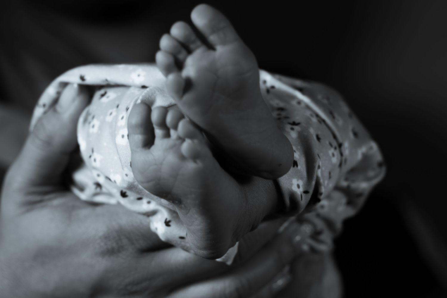 Close-up black and white photo of newborn baby feet.