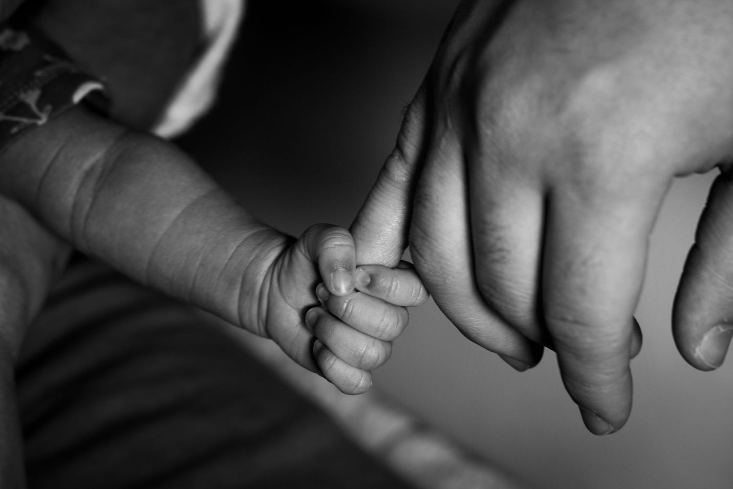 Close-up of tiny baby hand holding adult finger in black and white.