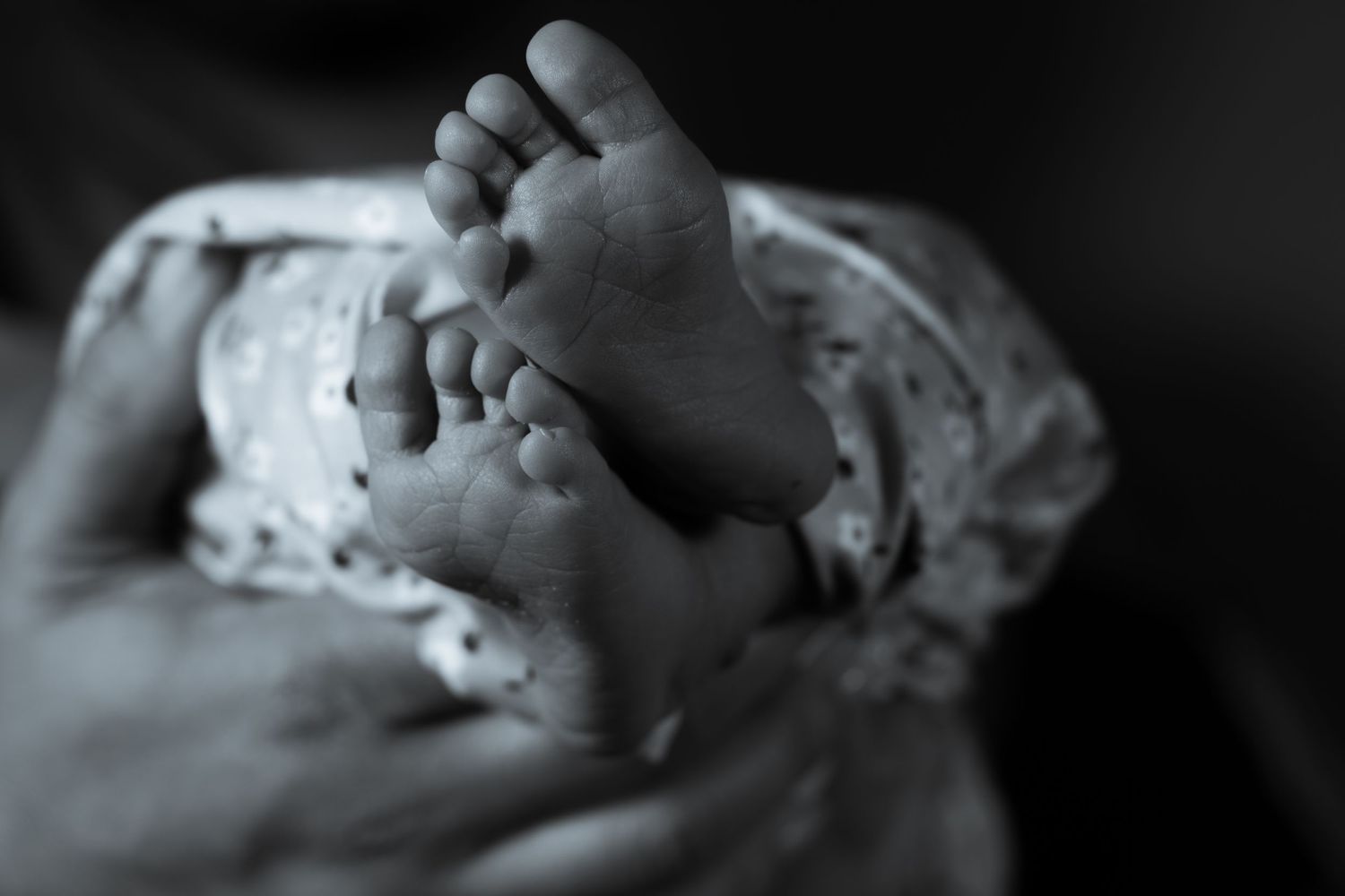 Close-up black and white image of newborn baby feet wrapped in soft blanket.