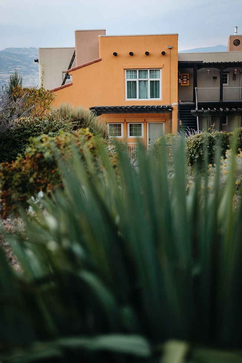 Modern residential buildings with orange stucco walls viewed through green succulent plants in the foreground.
