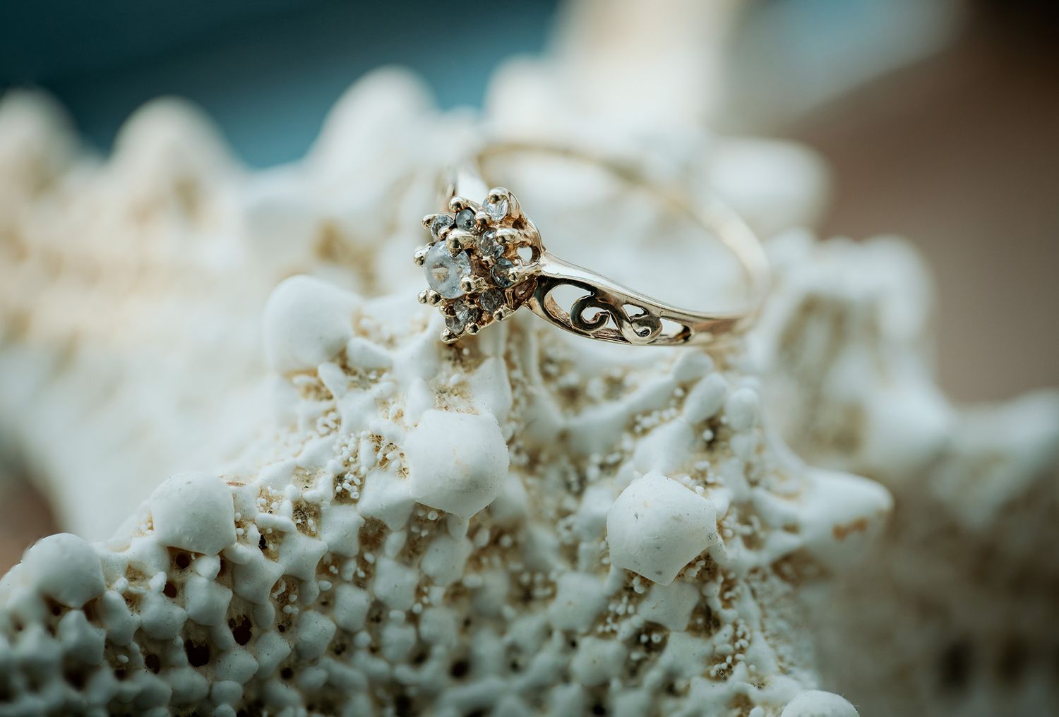Macro shot of delicate wedding rings nestled in white sea coral with sparkling details and lens bokeh.