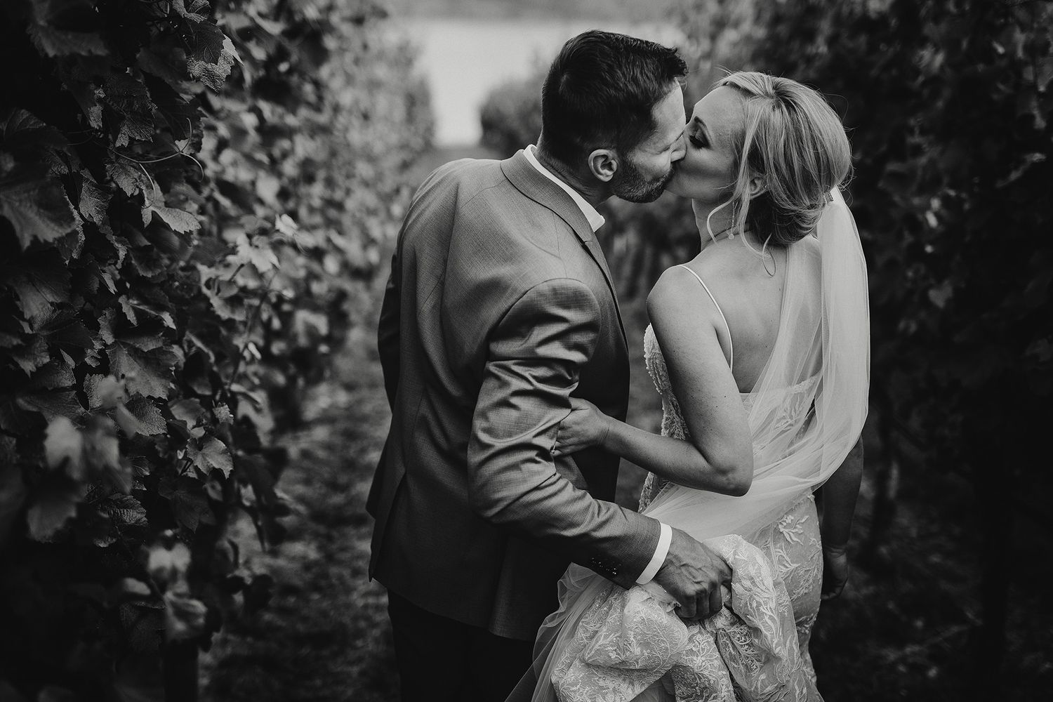 A romantic black and white wedding photo showing a couple sharing an intimate moment among the vines of Quail's Gate Winery in West Kelowna.