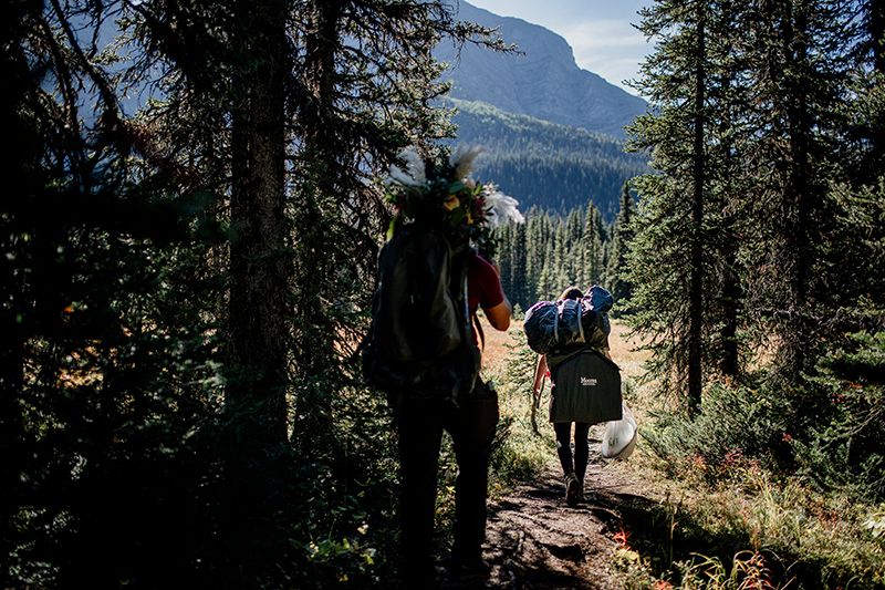 A scenic mountain trail winds through tall evergreen trees with sunlight filtering through the forest canopy.