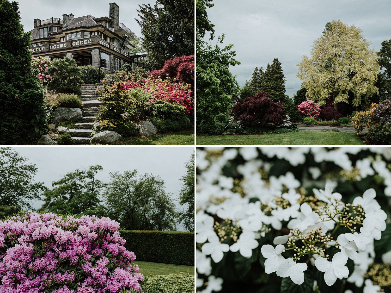 Four photos of various flowers in the gardens at the mansion of Cecil Green Park House in Vancouver.