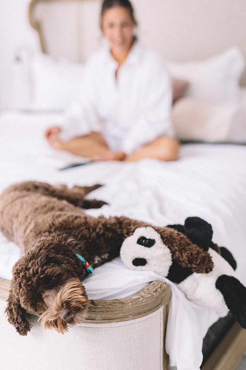 A brown dog lies peacefully on the corner of a bed while a woman writes a letter in the background.