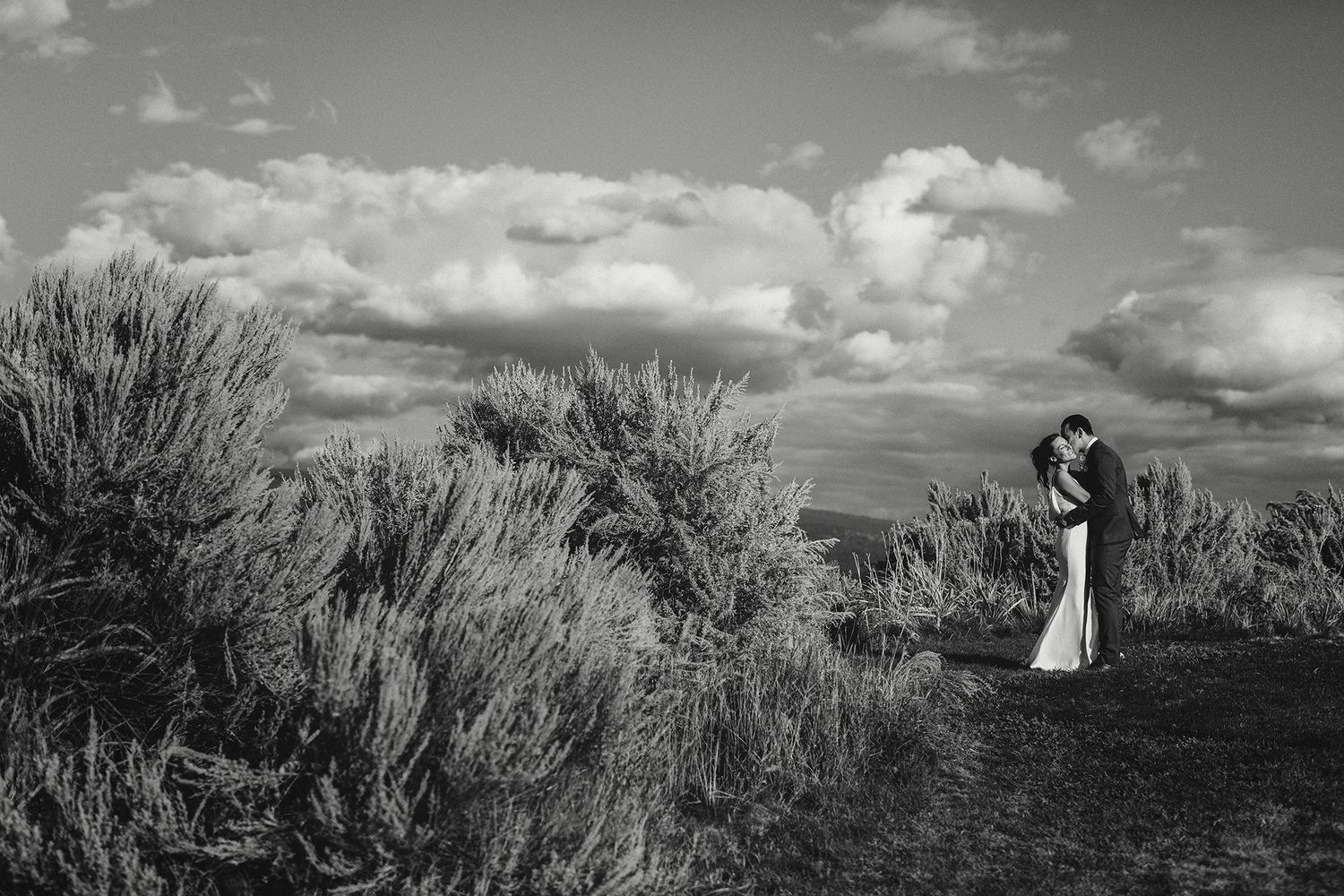 A black and white panoramic photo of wedding couple amid dramatic cloudy skies and natural scenery.