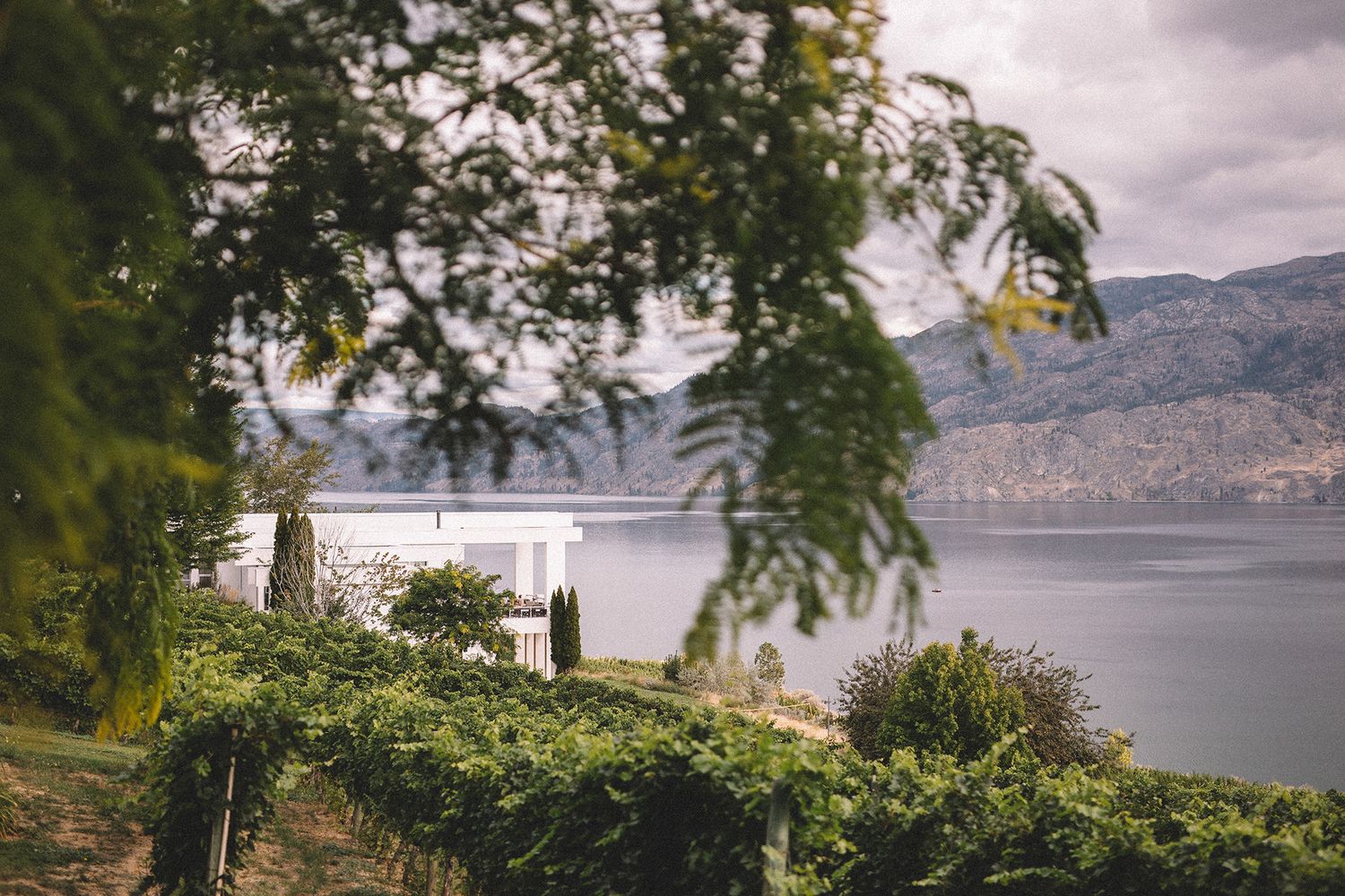 A Lake with mountains, trees, and cloudy skies from multiple angles along the shoreline. A white villa is nestled amid a vineyard.