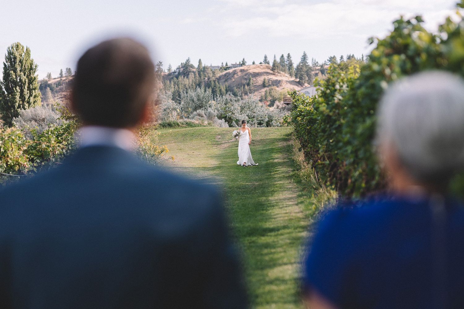 A bride approaches her parents in a scenic outdoor wedding ceremony at a vineyard with rolling hills and mountains in the background.
