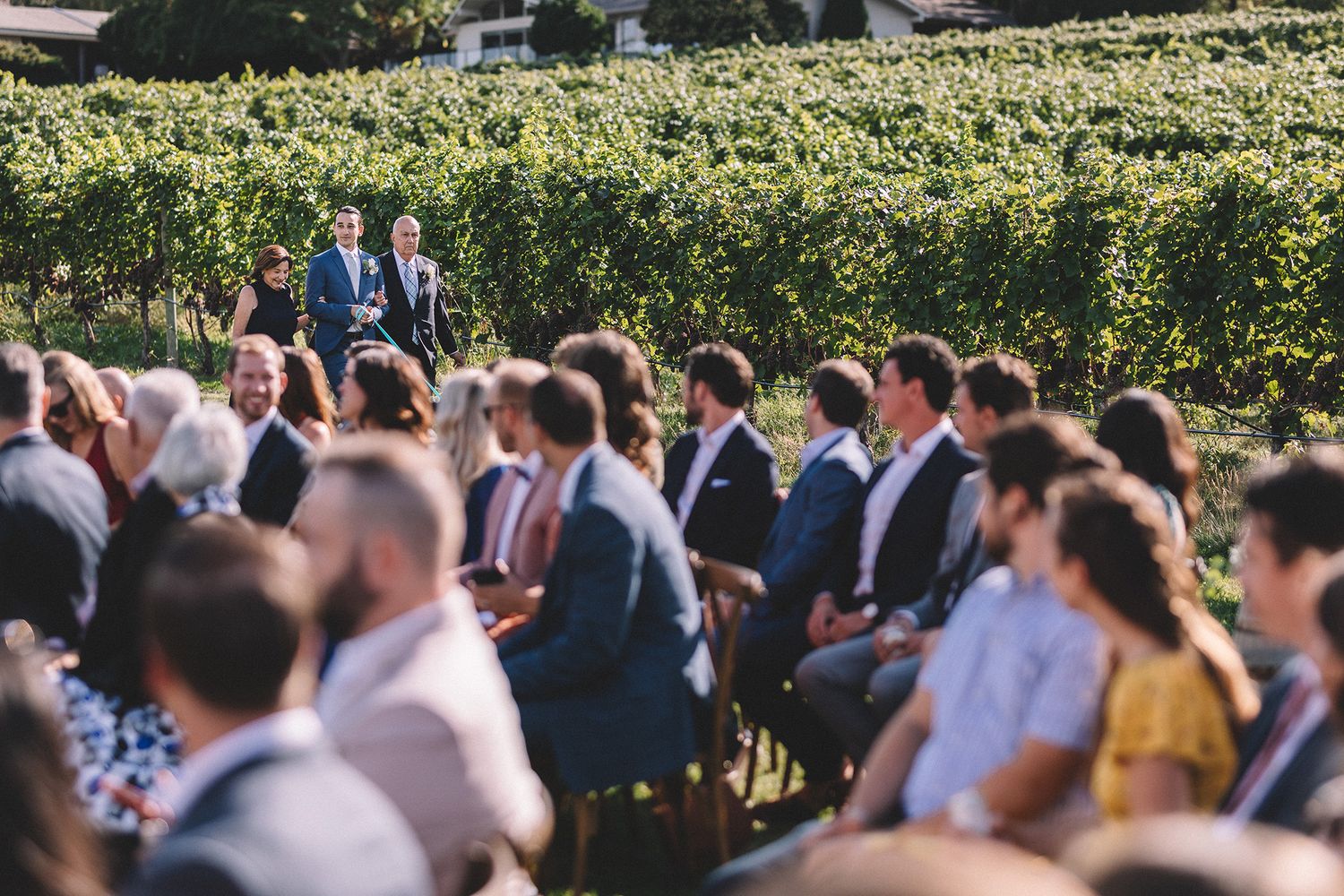 Outdoor wedding ceremony with guests seated in rows beside a lush vineyard on a sunny day.