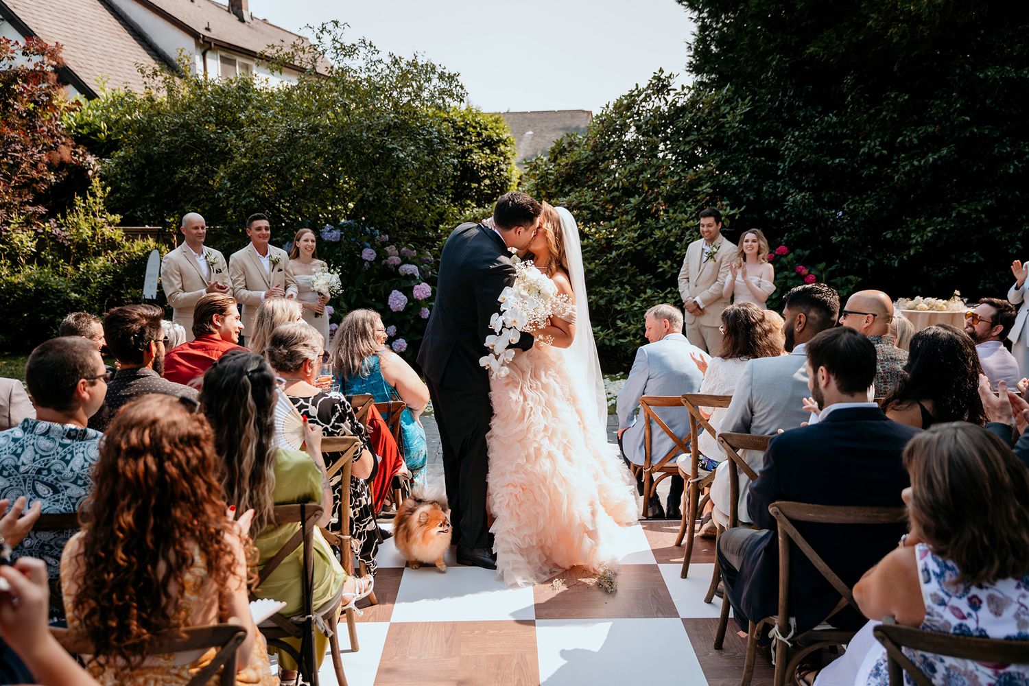 A just-married couple share a kiss in the aisle with their tiny dog stealing the show. Guests laugh and cheer on the newlyweds.