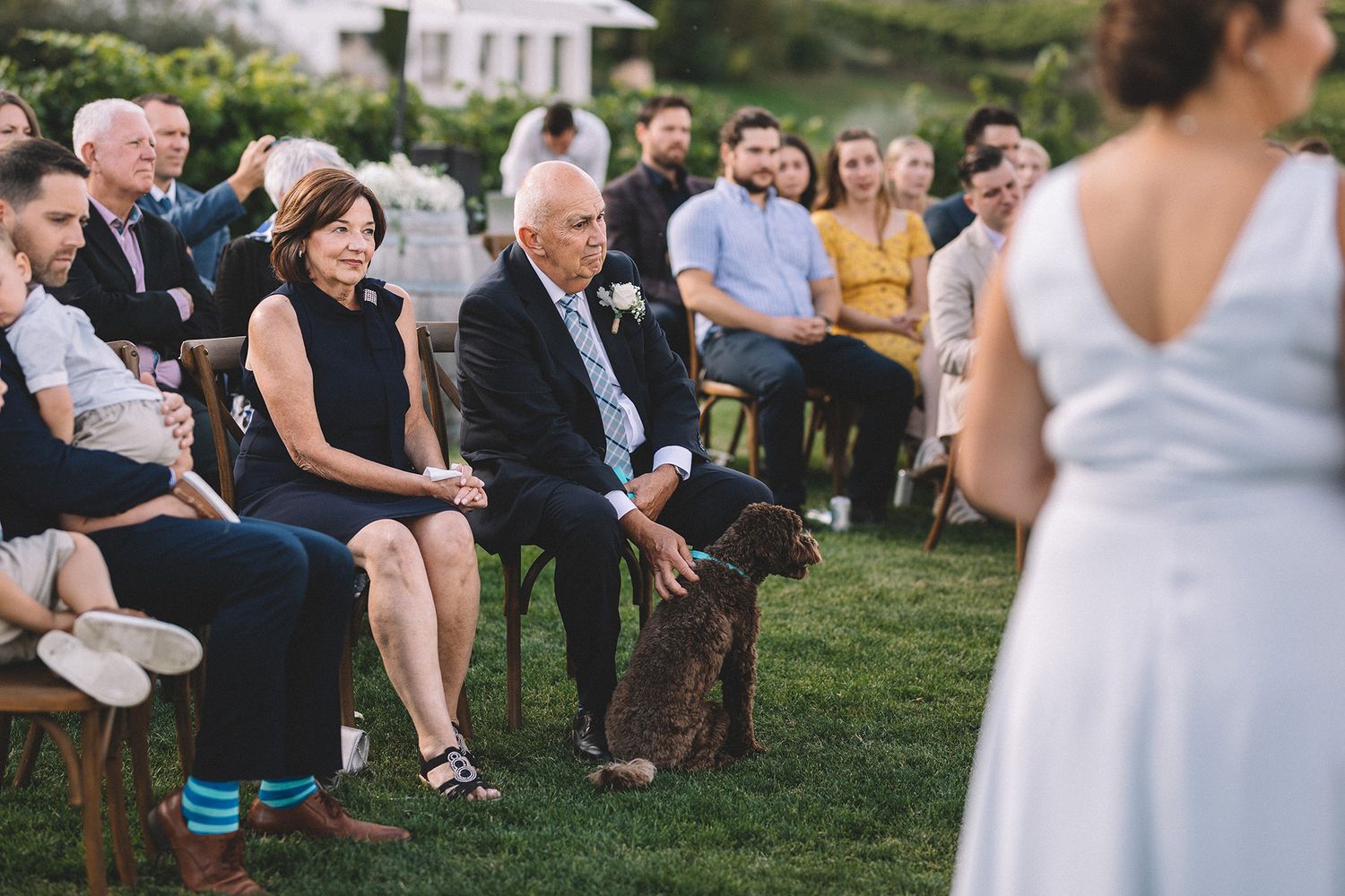 Guests seated on wooden chairs during an outdoor wedding ceremony on a grassy lawn with a vineyard in the background.