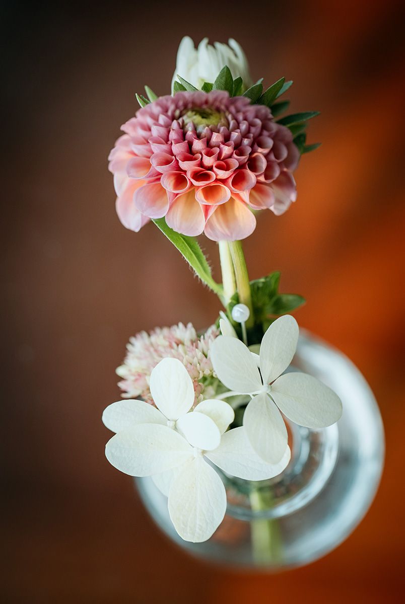 A pink dahlia flower and white hydrangea bloom arranged in a clear glass vase against a warm brown background.