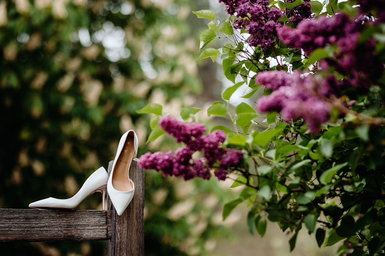 White wedding heels placed on rustic wooden railing next to blooming purple lilac flowers in garden setting.
