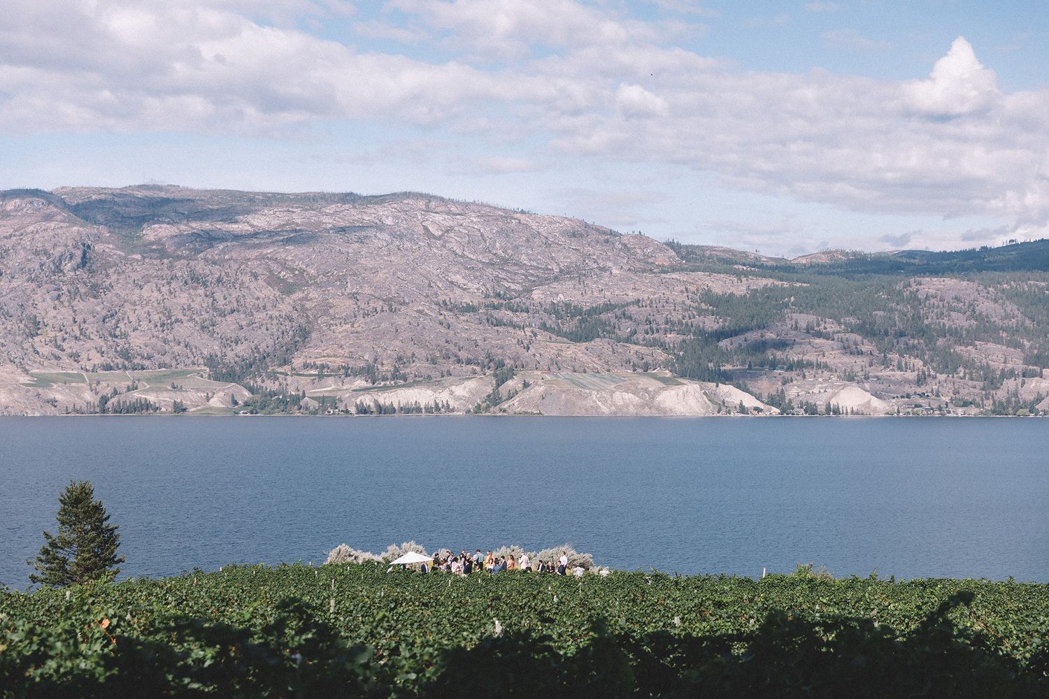 Panoramic view of Okanagan Lake surrounded by arid mountains and rolling vineyards in British Columbia.