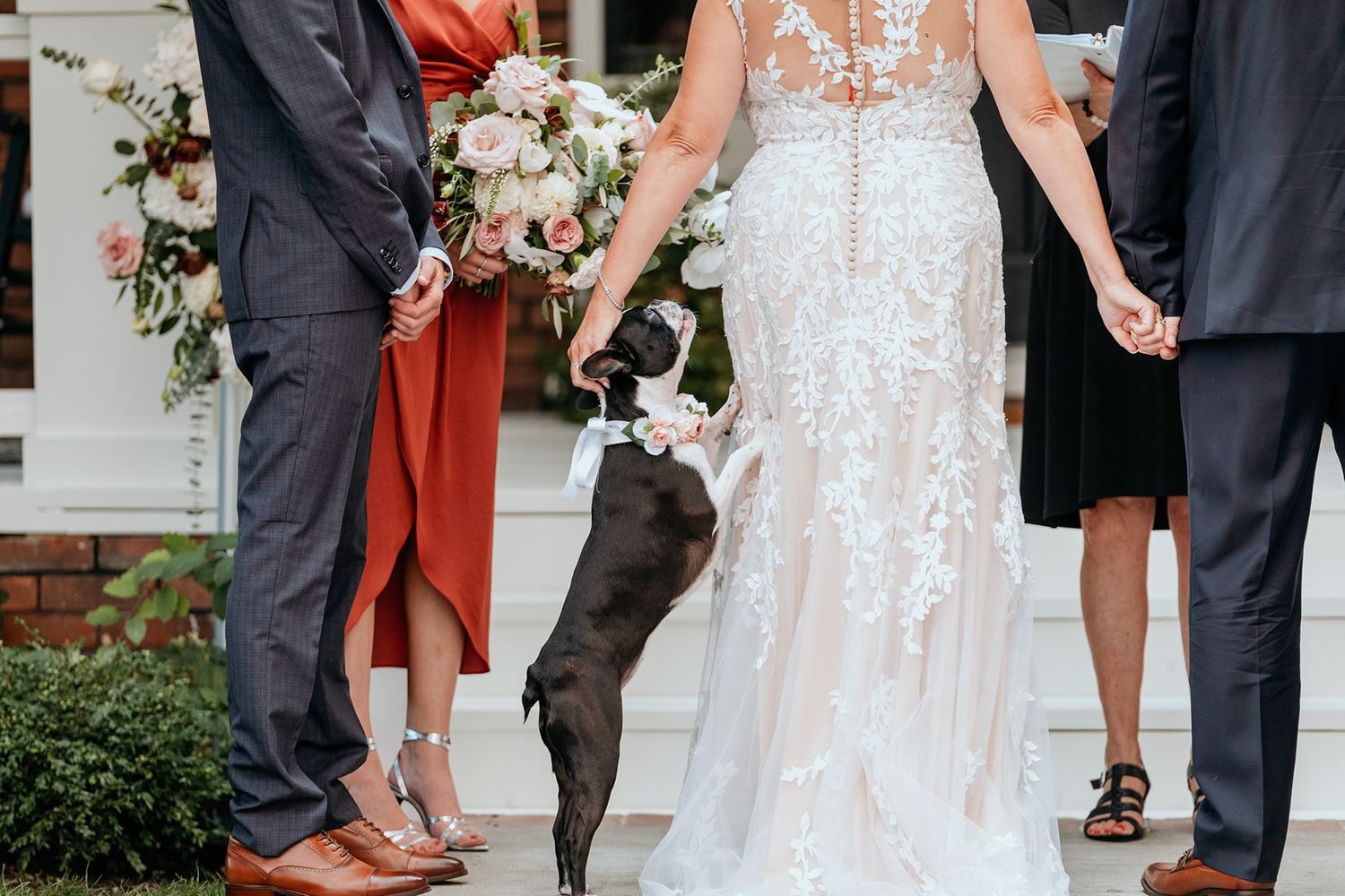 A bride's small dog adorably interrupts the ceremony as he begs her for attention.