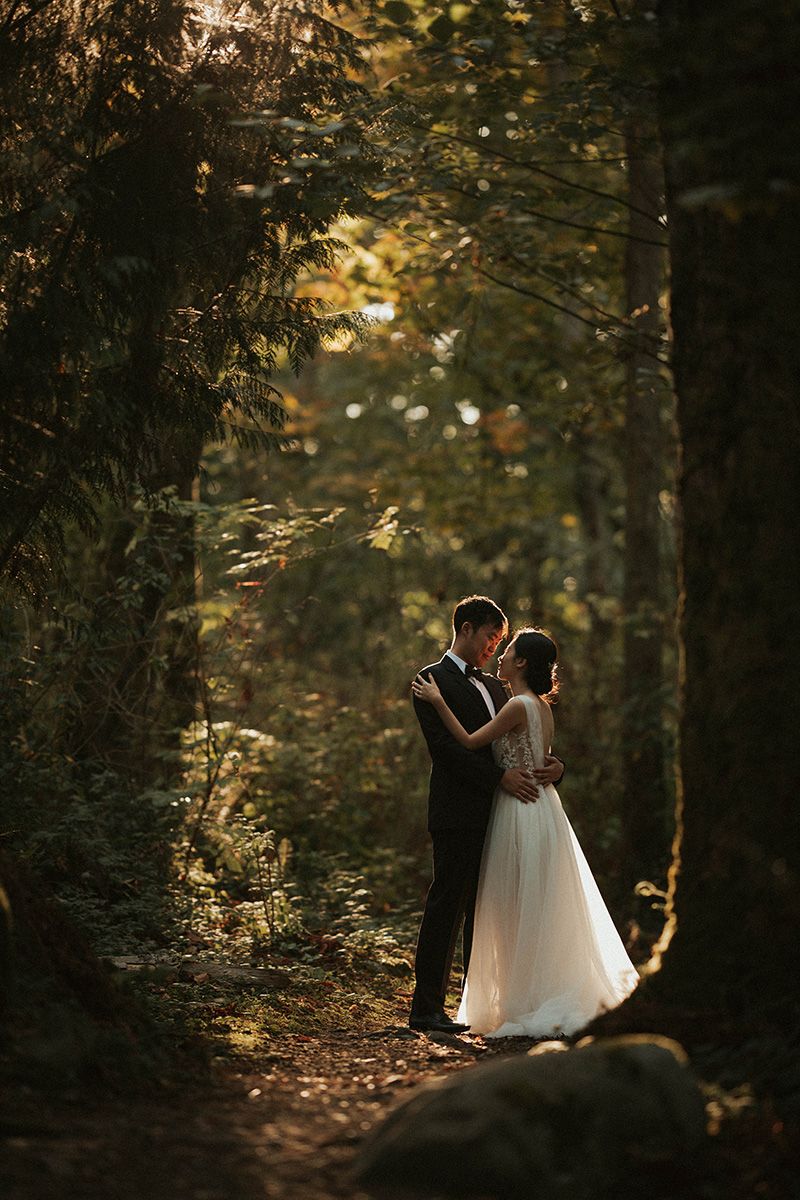 Sunlight rims a bride and groom on a sunlit forest setting.