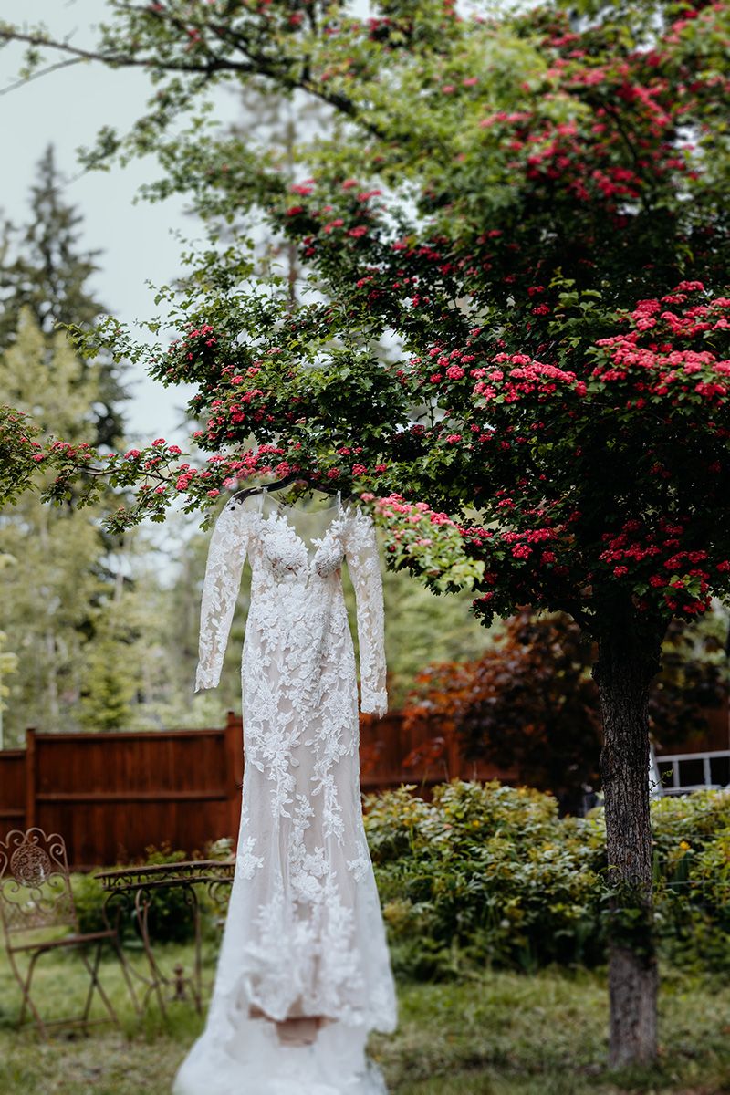 A delicate white lace wedding dress hangs from a tree branch with red berries against a natural outdoor backdrop.