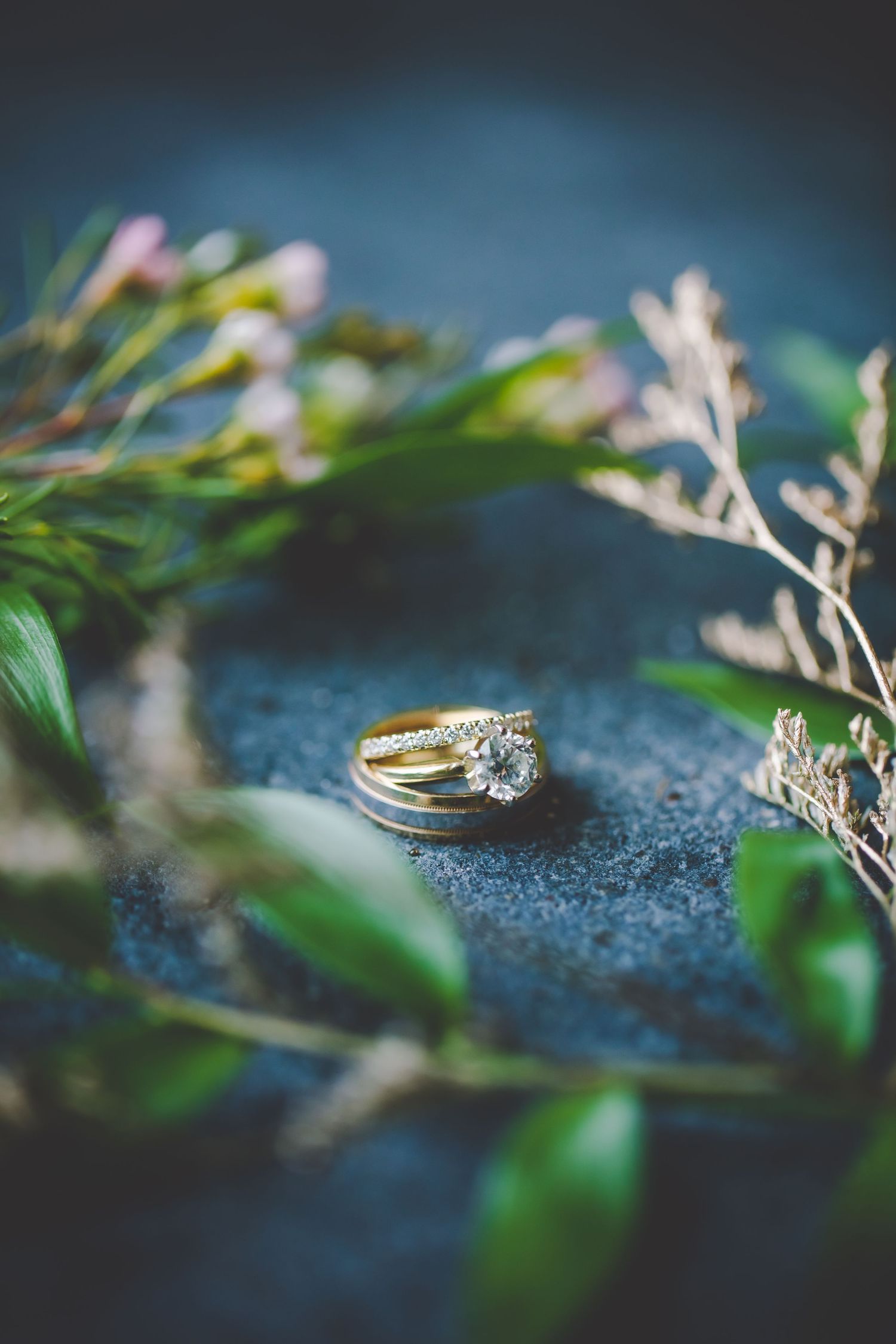 Diamond engagement ring nestled among green leaves on dark textured background.