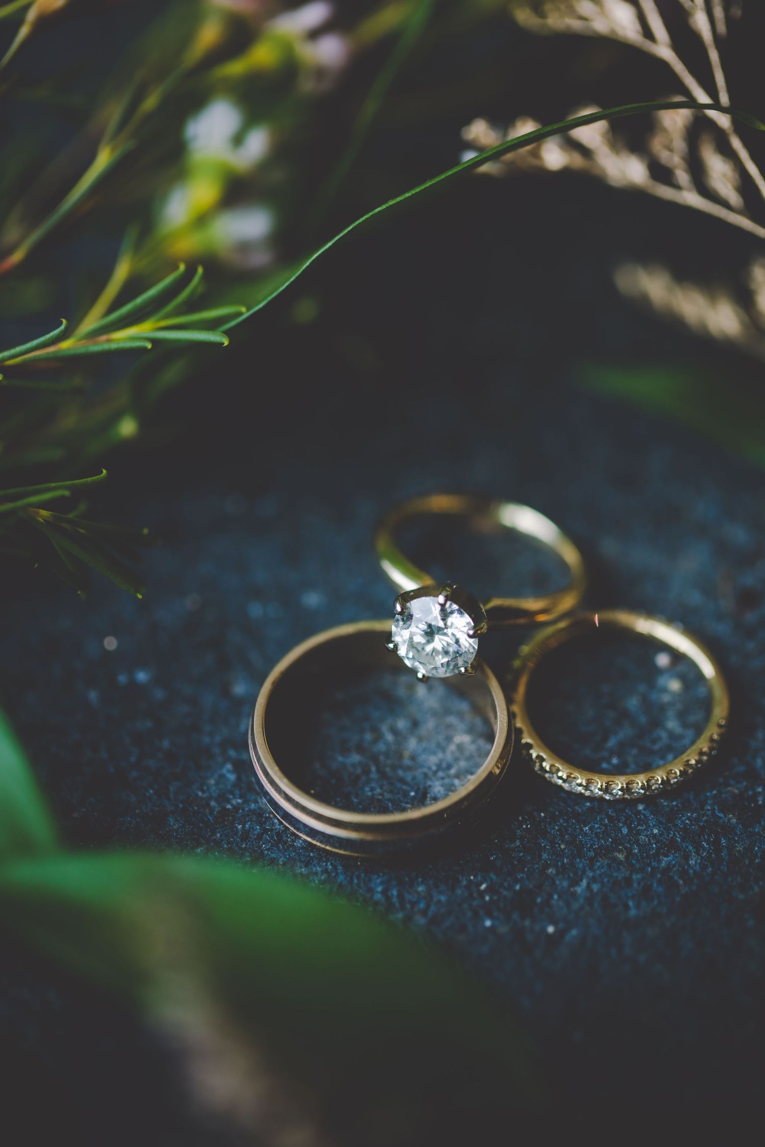 Wedding rings artistically photographed against a dark textured background with greenery.