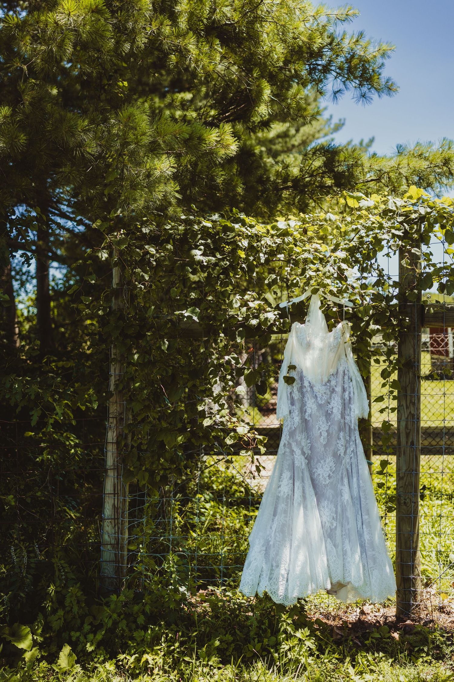 Delicate white lace wedding dress with veil hanging on a garden arbor surrounded by lush green trees.