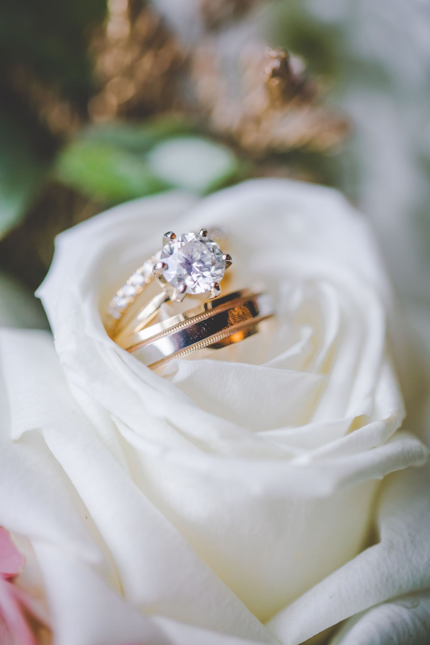 Diamond engagement ring and wedding band nestled in the petals of a white rose.