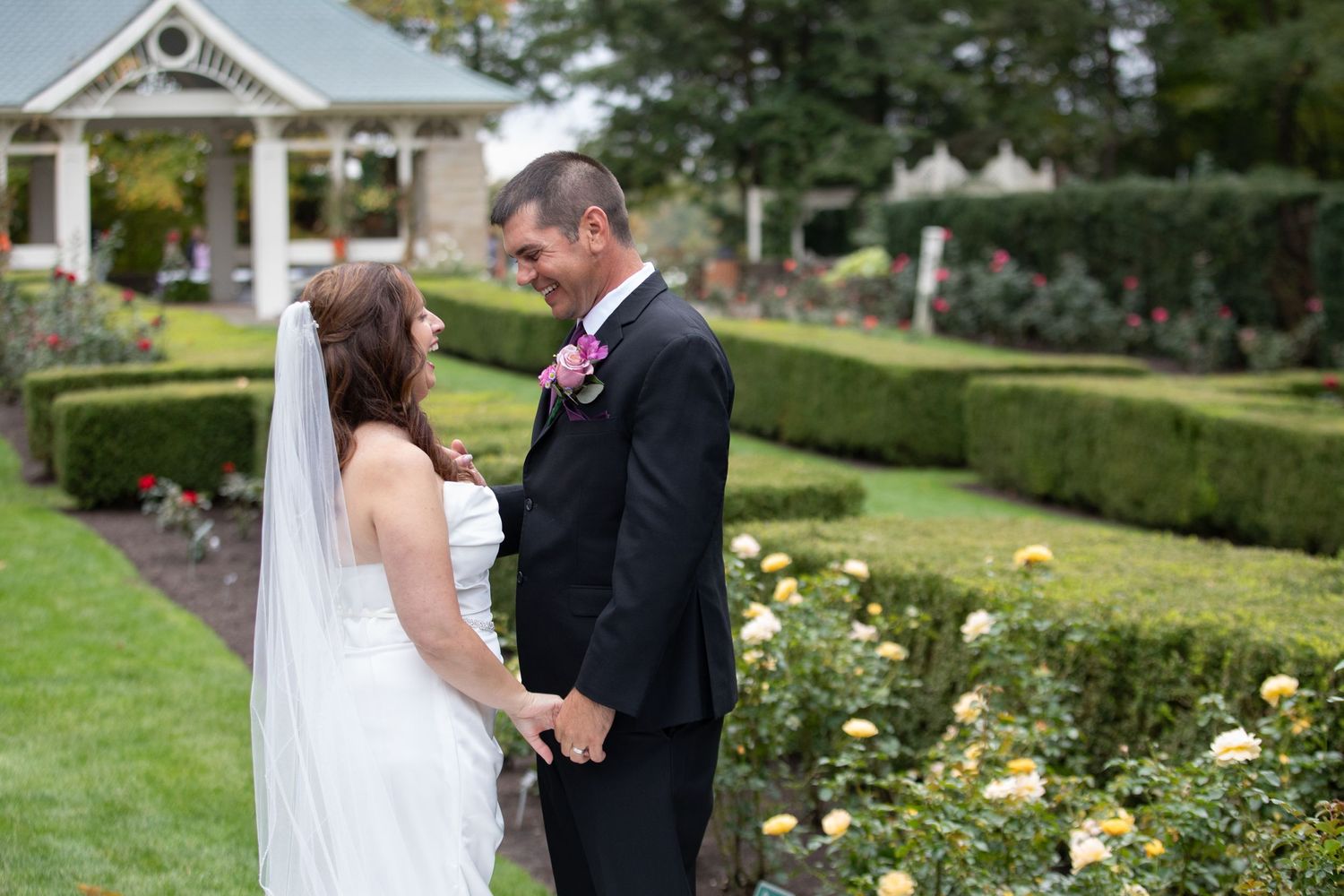 Wedding couple poses in manicured garden with yellow roses and green hedges.