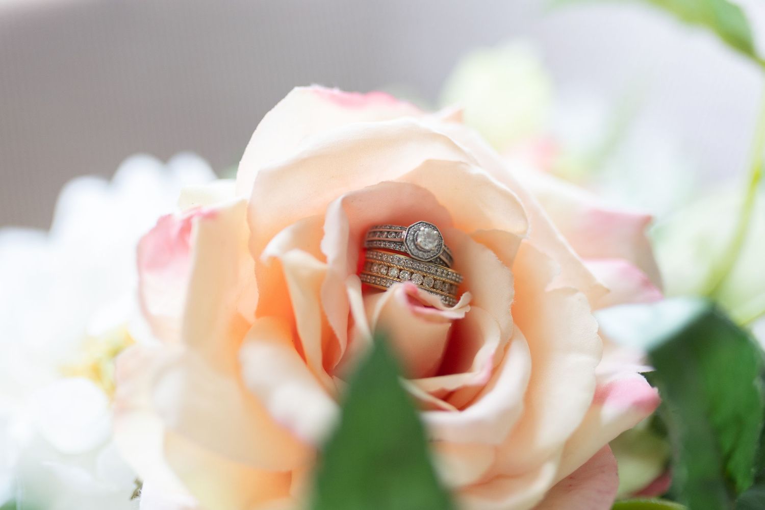 Delicate peach roses with soft petals in macro photography against a light background.
