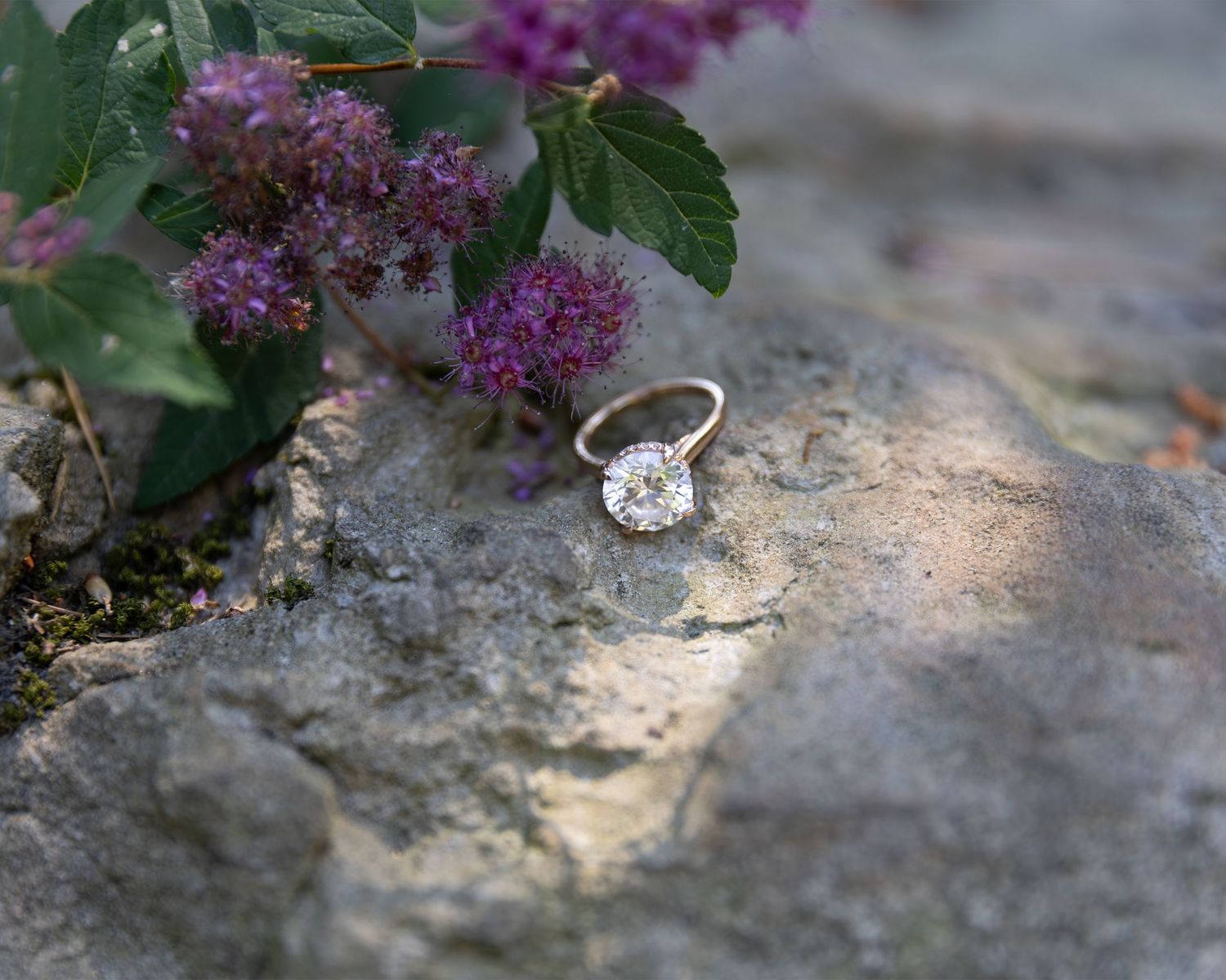 Gold solitaire diamond engagement ring resting on a stone surface beside purple flowering shrubs outdoors.
