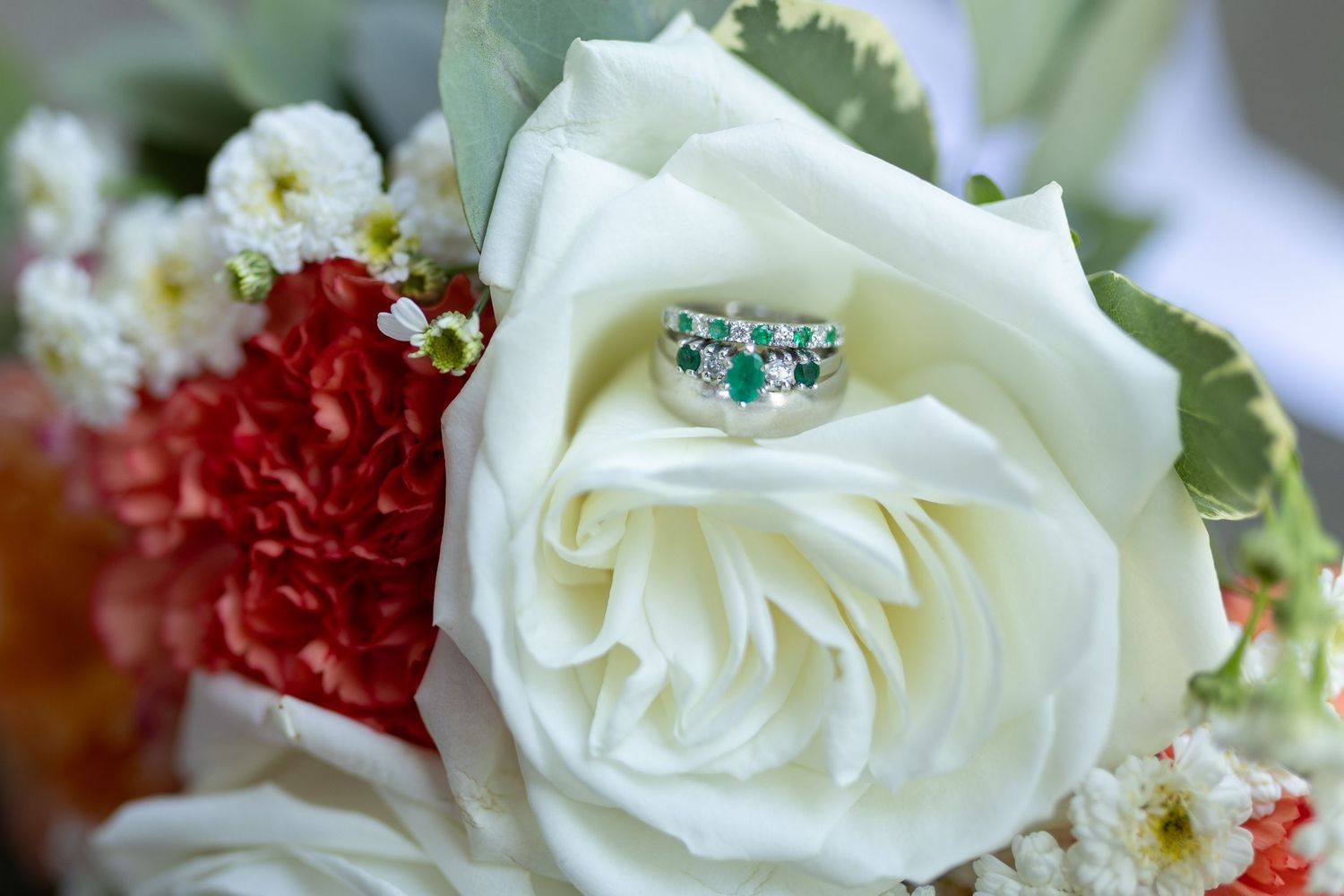 Wedding rings nestled in the center of a white rose with red carnations.