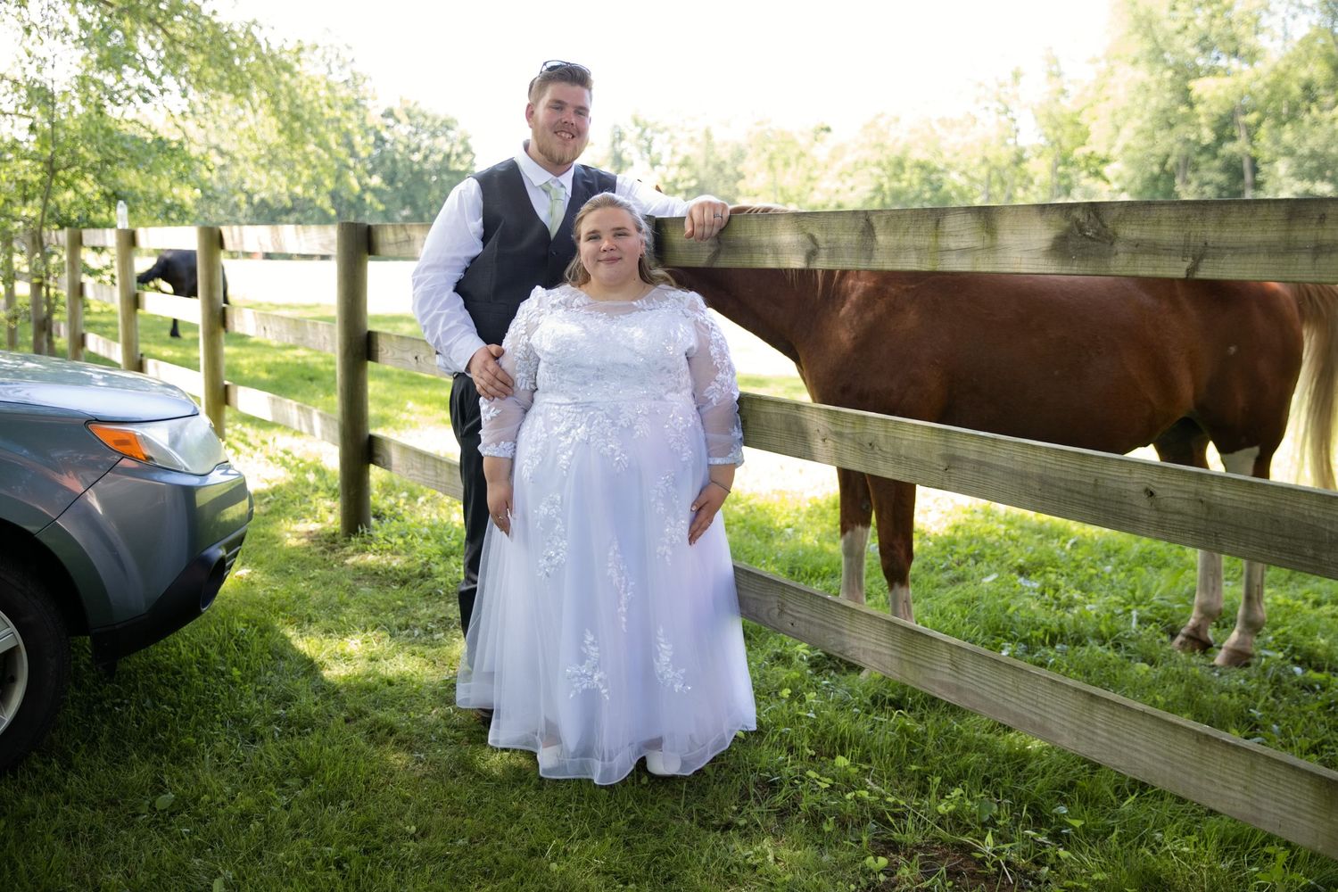 Bride and groom pose in wedding attire beside a wooden fence with a brown cow on a sunny farm.