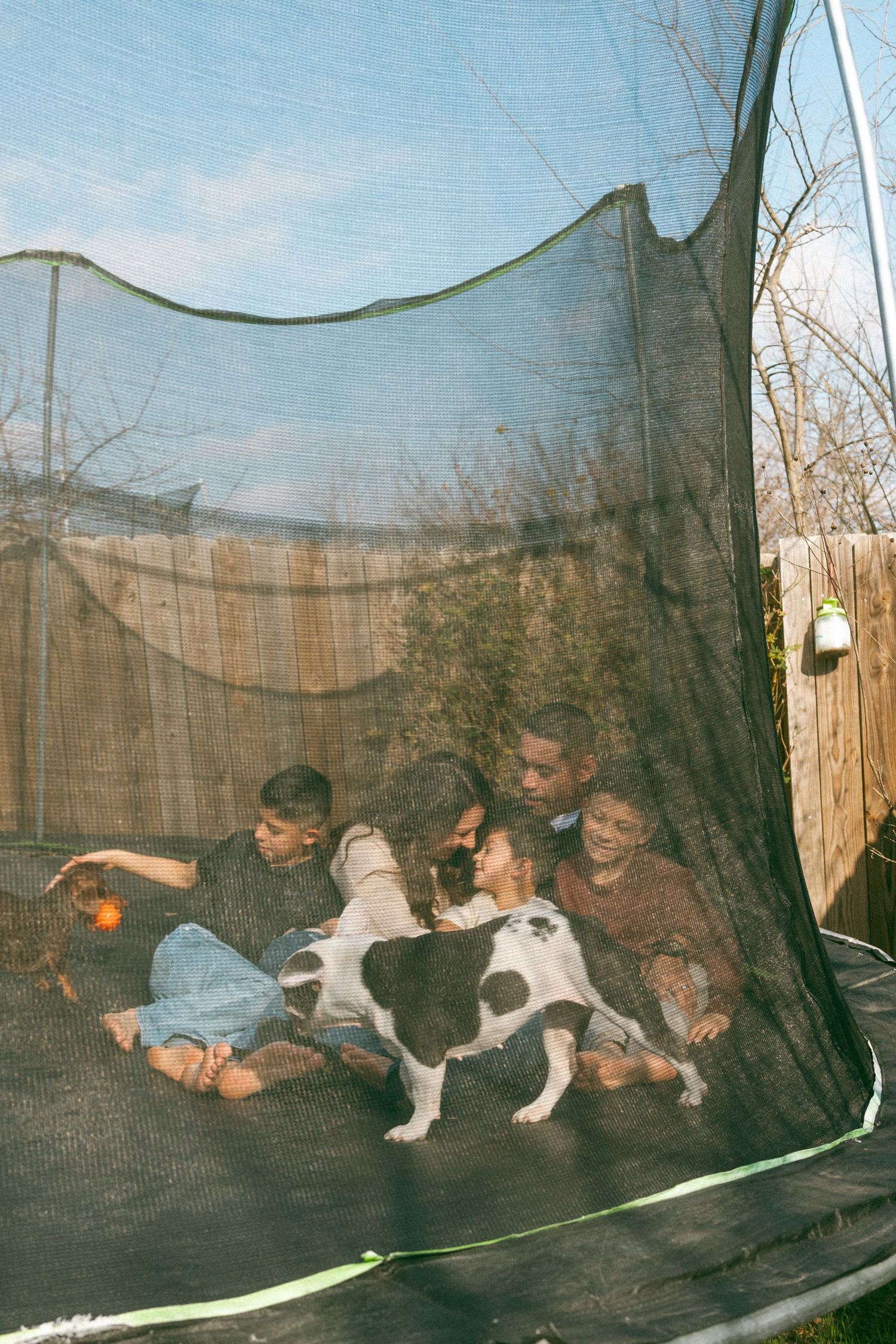 Family lounging on a trampoline with dogs on a sunny day. Modern renaissance.