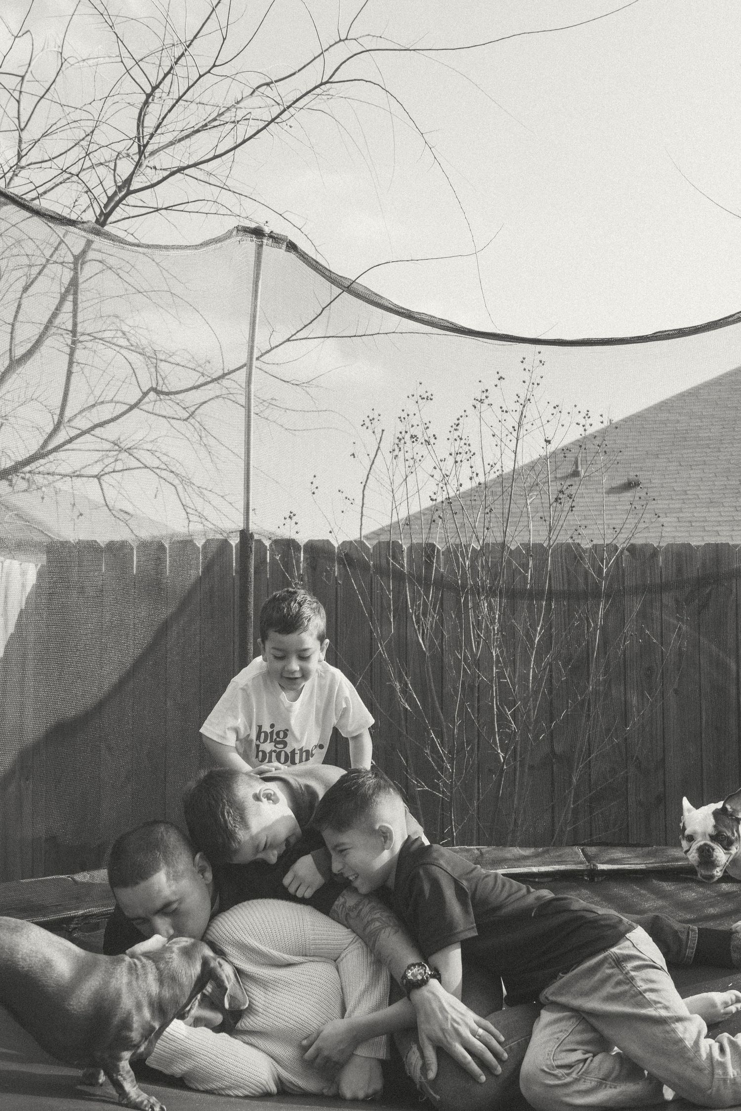 People and dog relaxing together and tackling mom with love outdoors in black and white.