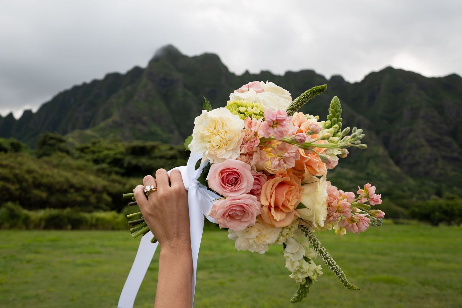 Hand holding a bridal bouquet of pink roses and white flowers with lush green mountains in the background.