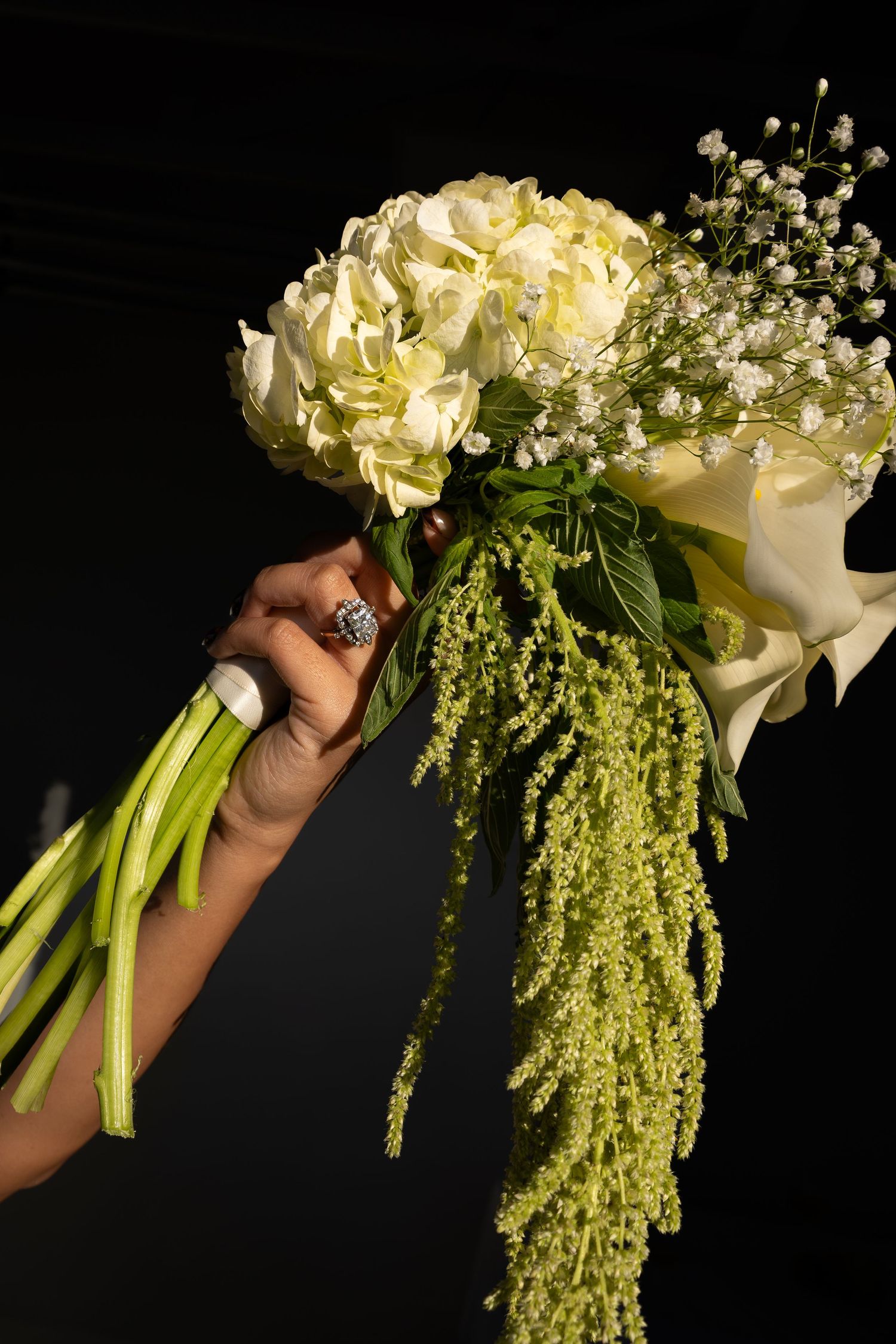 Hand holding a cascading bridal bouquet of white hydrangeas and green amaranthus on black background.