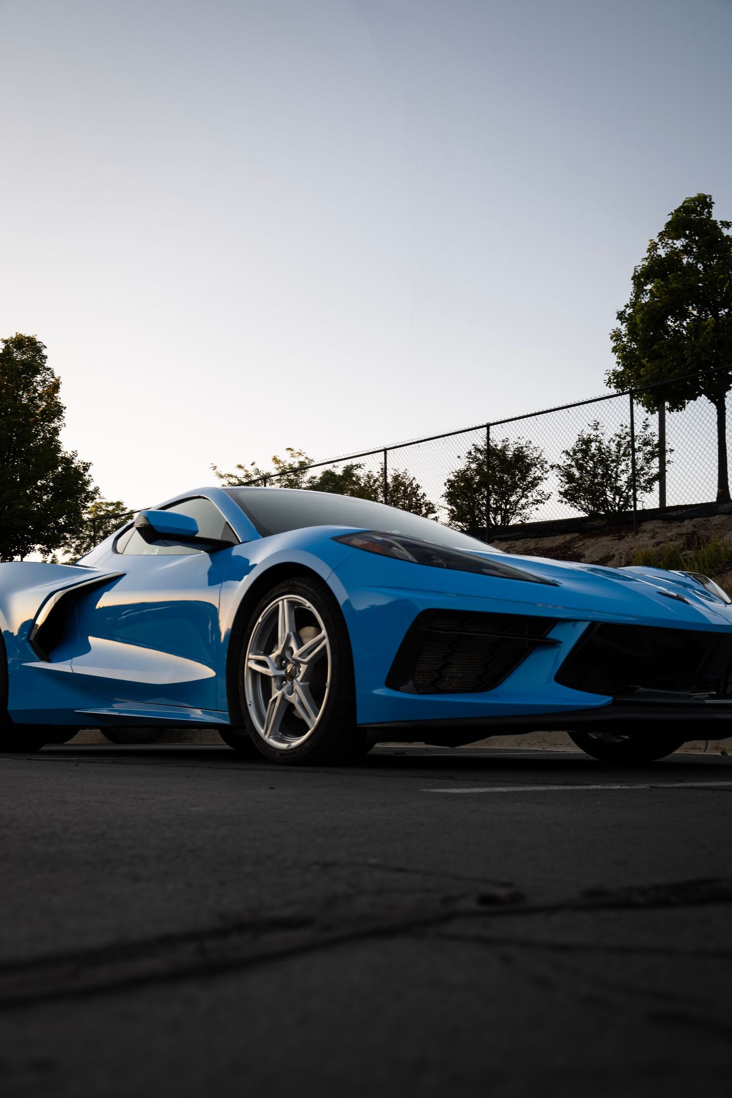 Low angle view of a sleek blue Ford GT supercar against an overcast sky with trees in the background.